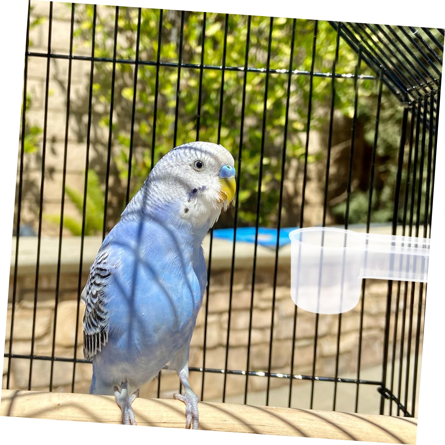 BESPORTBLE 10 Uds Bebedero De Agua para Pájaros Pantalla De Rafia Aguas De Pollo Y Alimentador Bebedero para Pájaros Bebedero Automático para Palomas Bebedero para Pájaros Taza Bebedero para