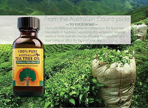 Miniatura 3 de Humco 481791001 - Aceite de árbol de té australiano 100 puro 1 paquete