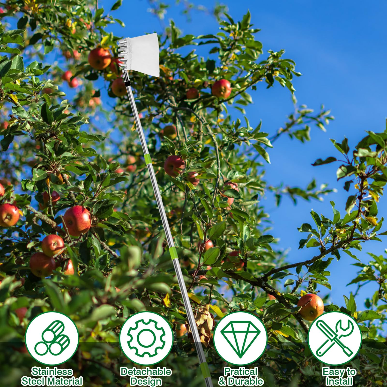 Raccogli Frutta da Albero, 2.4M Raccoglifrutta con Palo in Acciaio Inox Leggero, Raccogli Frutta Telescopico Raccoglifrutta Regolabile in Altezza Per la Raccolta di Mele, Fichi, Pere, Pesche e Nespole
