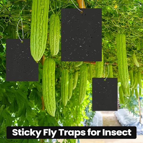 Miniatura 6 de Qualirey 100 trampas adhesivas de 6 x 8 pulgadas para plantas, trampas adhesivas de doble cara para mosquitos con lazos giratorios, trampas para