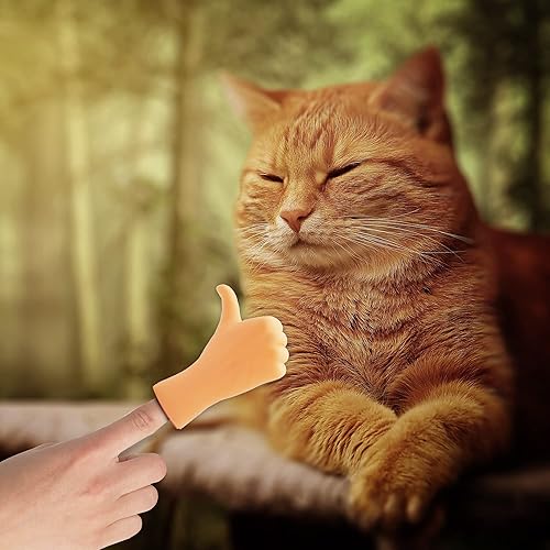 Miniatura 4 de AQKILO Tiny Hands - Marionetas de dedo en miniatura con mano izquierda y derecha, recuerdos de fiesta, educativos, juguetes de TikTok, 8 piezas (2