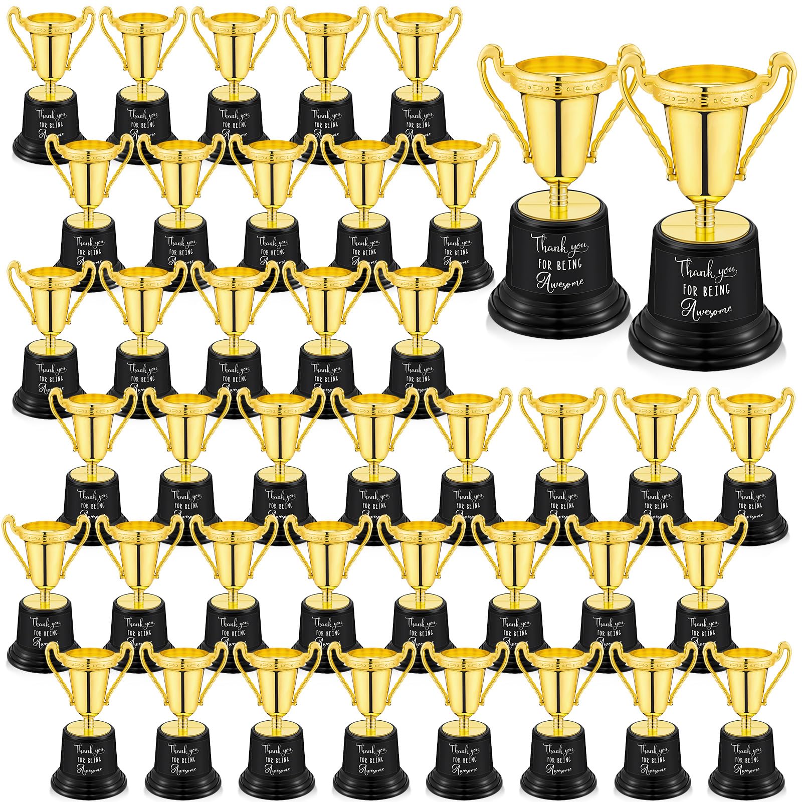 Libima Plastic Trophy Thank You for Being Awesome- 48 Count