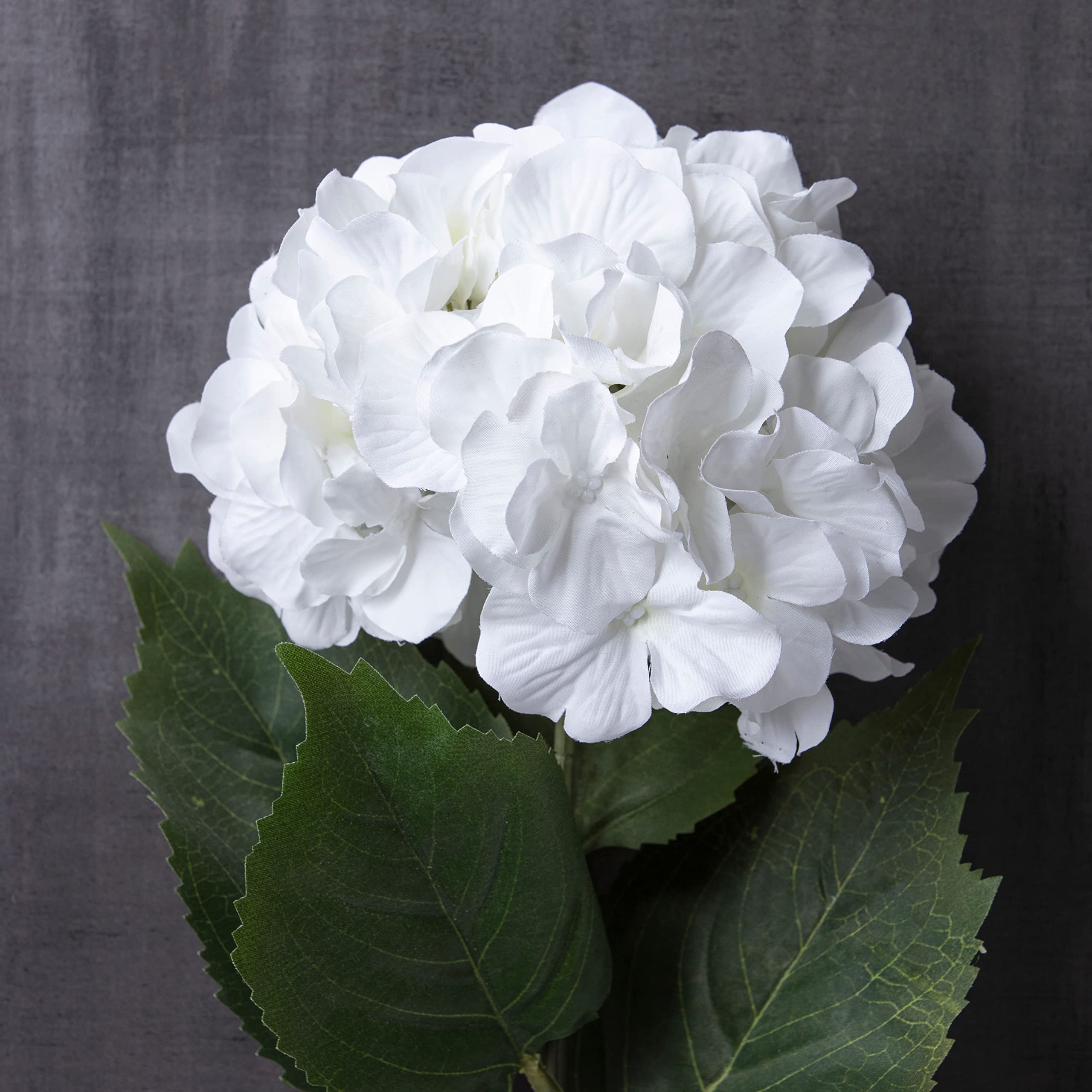 ☆hydrangea☆さま 専用です Amazon.com: Ashland 12 Pack: Classic Traditions White Hydrangea