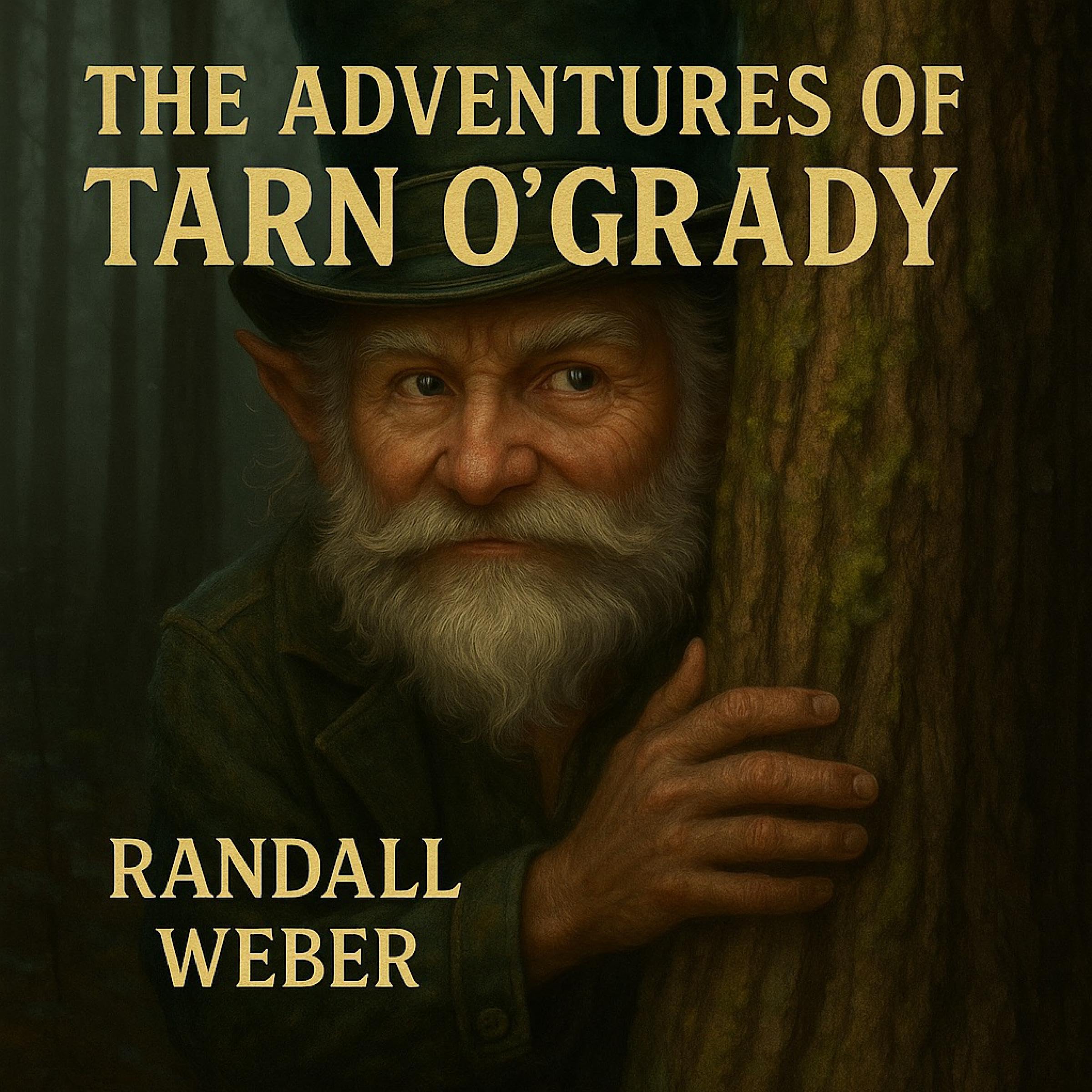 Cover art for The Adventures of Tarn O'Grady