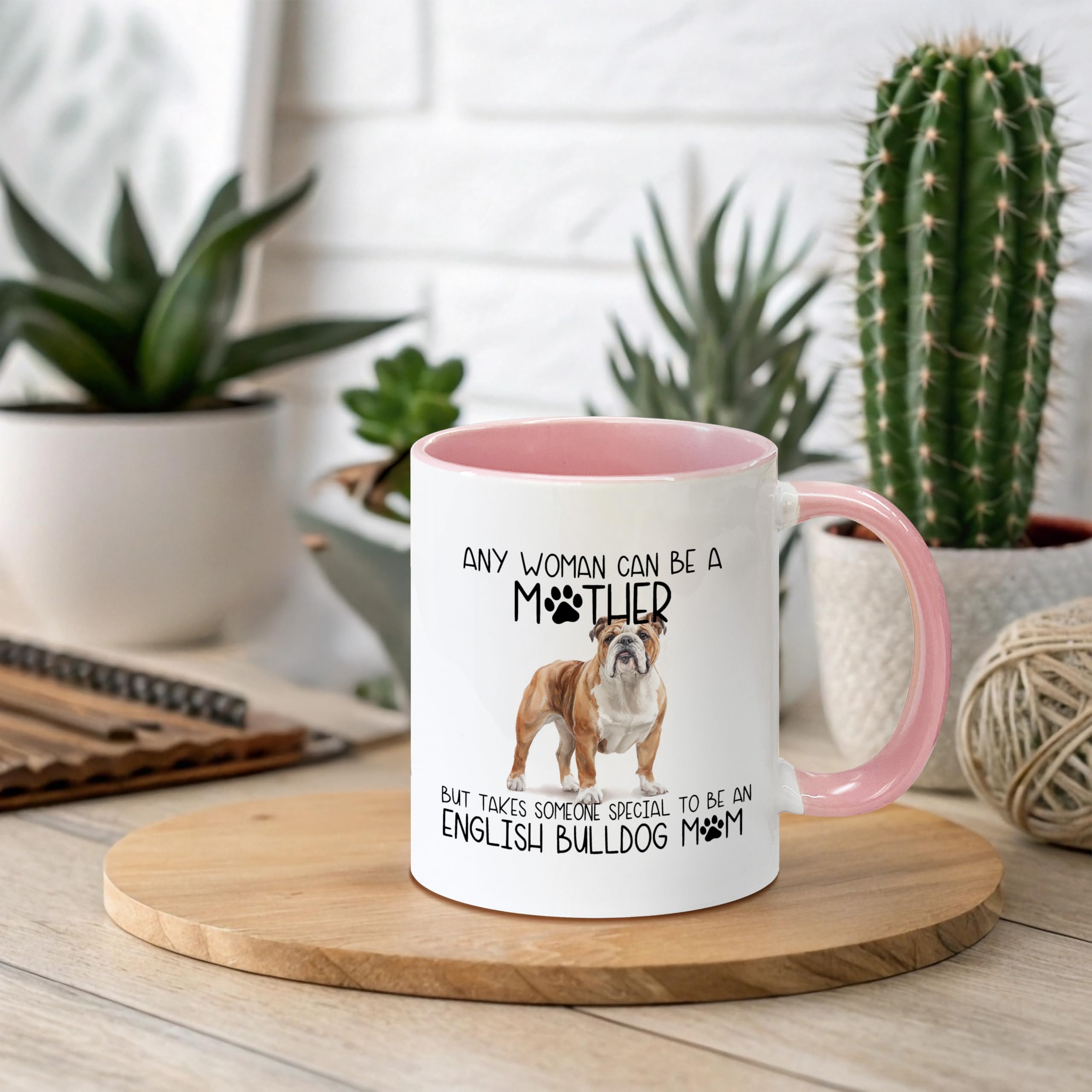 https://m.media-amazon.com/images/I/81a5fjxG8gL.jpg