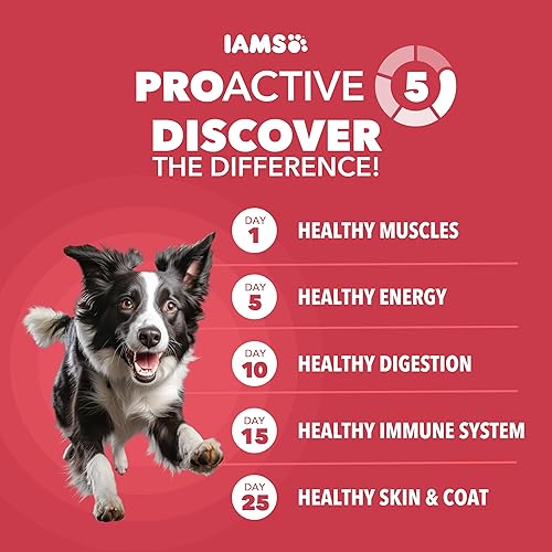 Miniatura 2 de Iams Proactive Health Comida seca para perros adultos – croquetas Minichunk