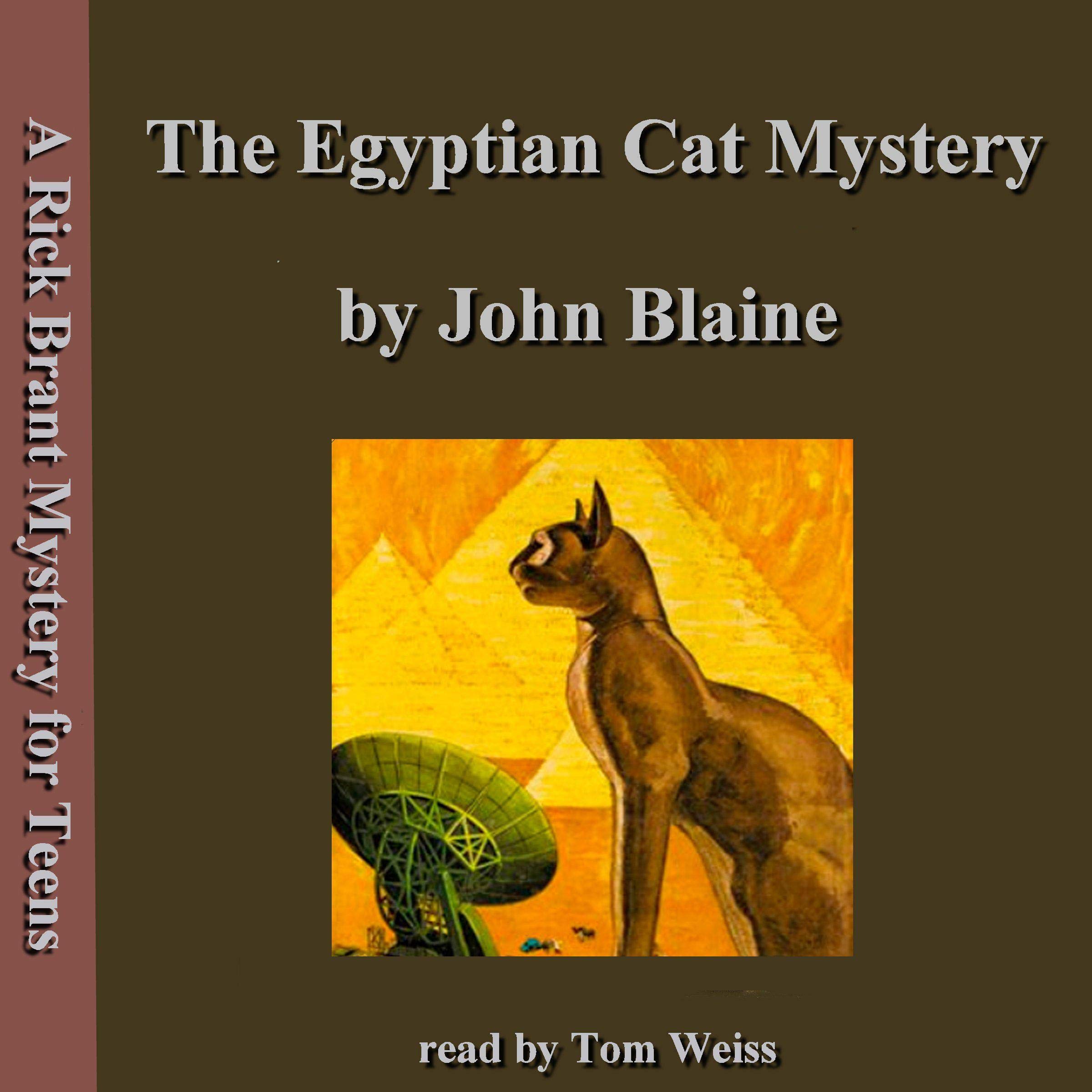 The Egyptian Cat Mystery