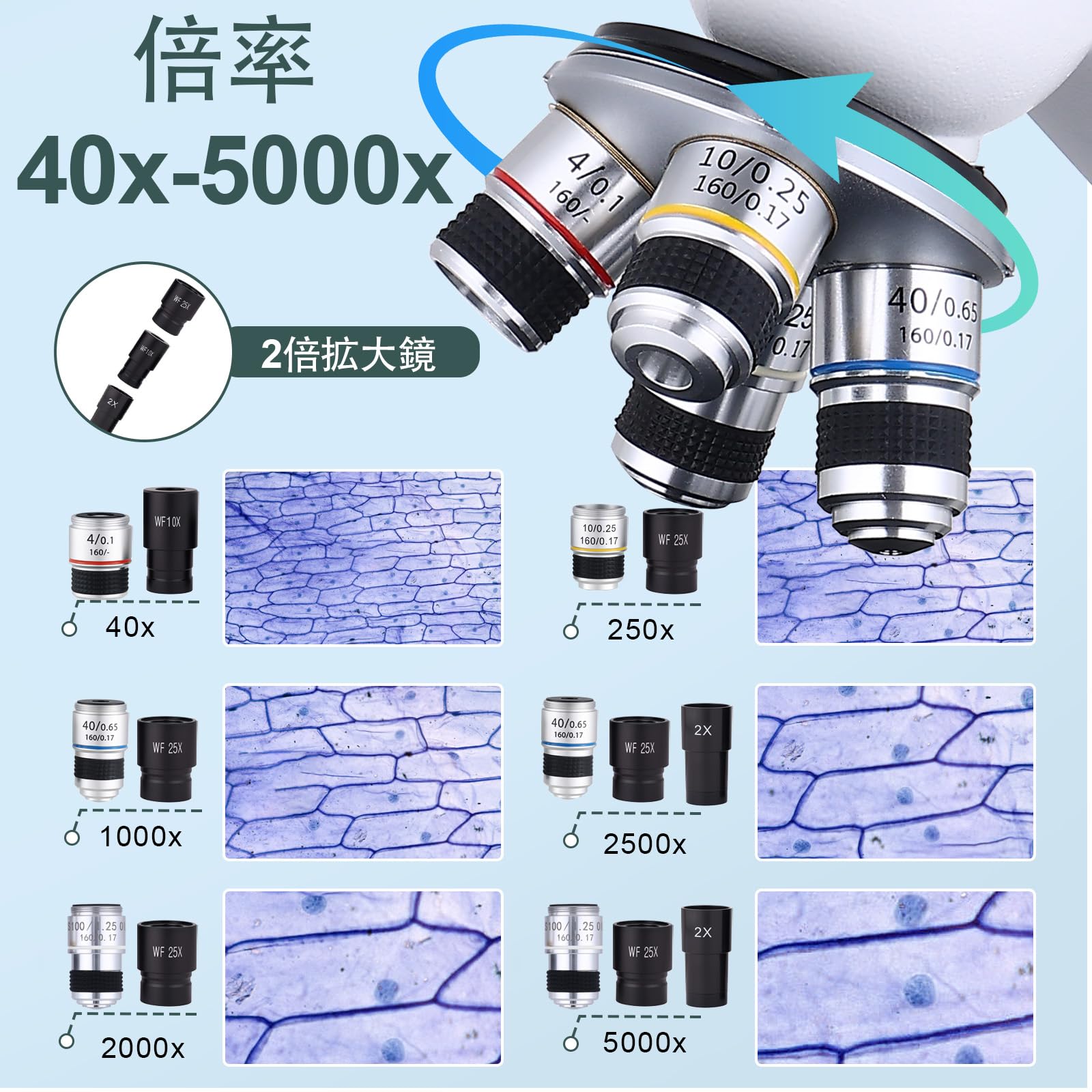 Amazon.co.jp: erwicm の雑種の Trinocular 顕微鏡、40X-5000X 最高 
