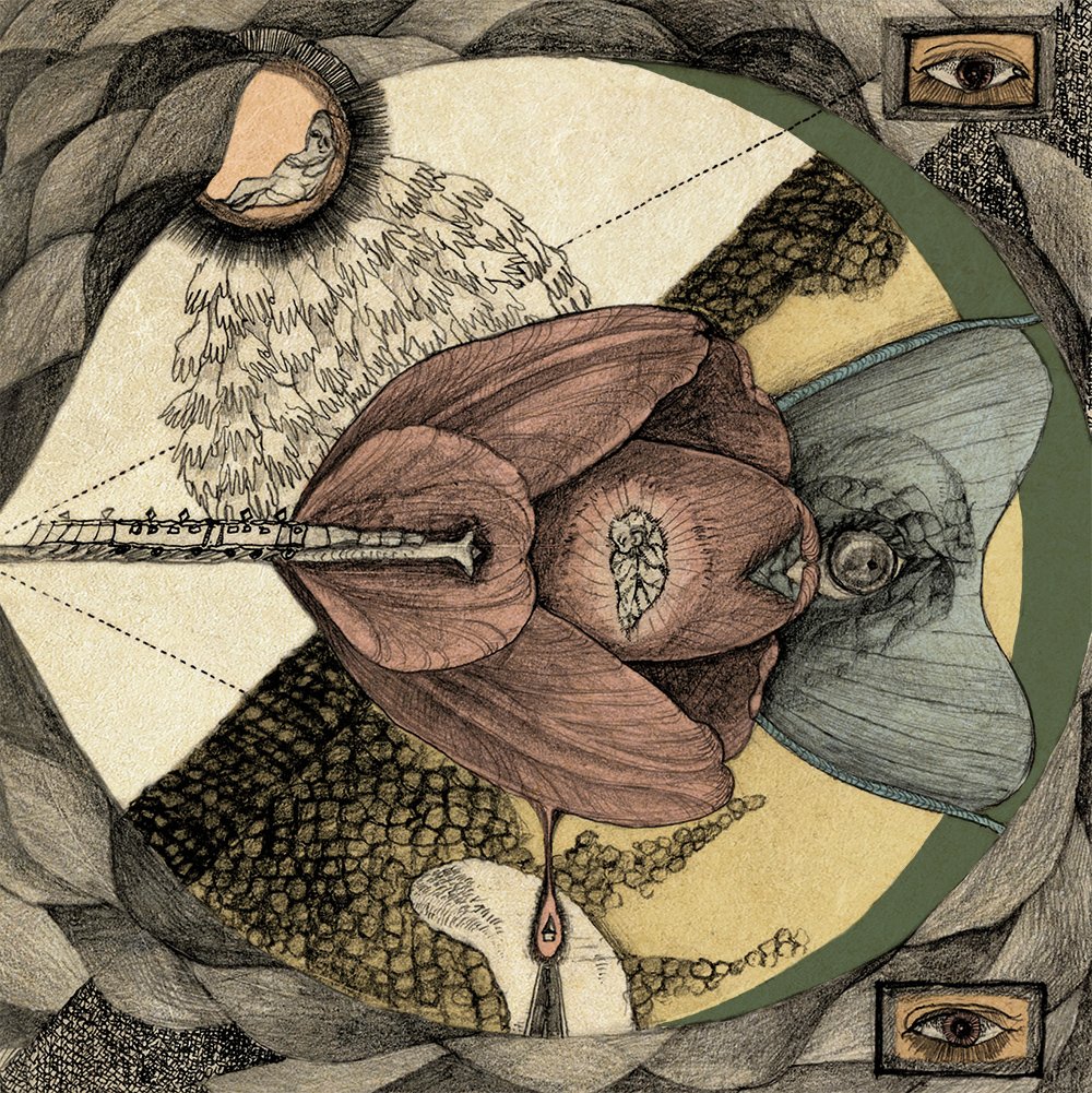 Amazon.co.jp: 光の棺: ミュージック