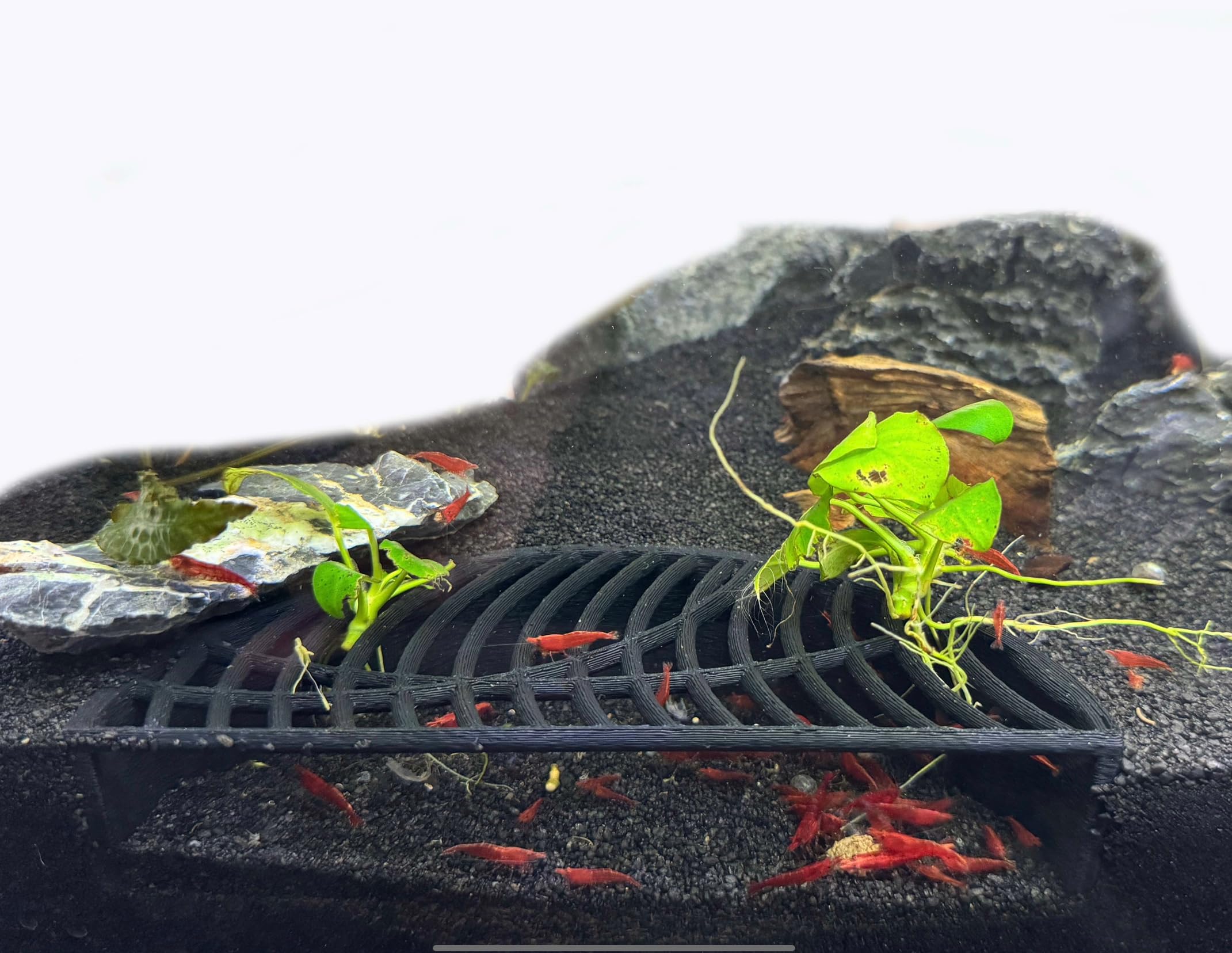 Aquarium Shrimp Cave, ABS Plastic Breeding Hideout For Fish Tanks Shrimp Habitats