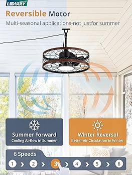 Amazon.com: LEDIARY Outdoor Ceiling Fan with Light and