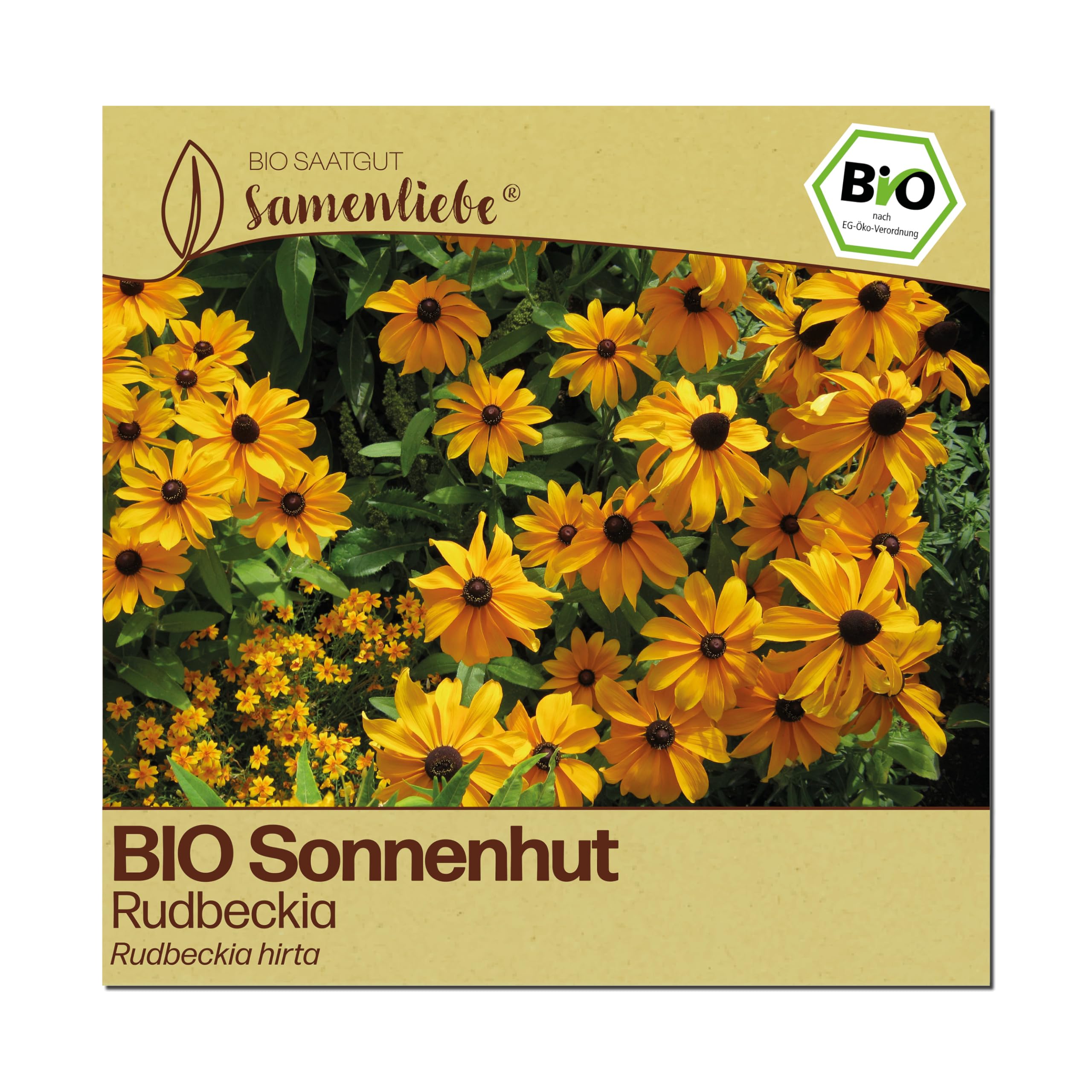Samenliebe BIO Sonnenhut Samen | Schnittblume - Rudbeckia - gelb - samenfestes BIO Saatgut