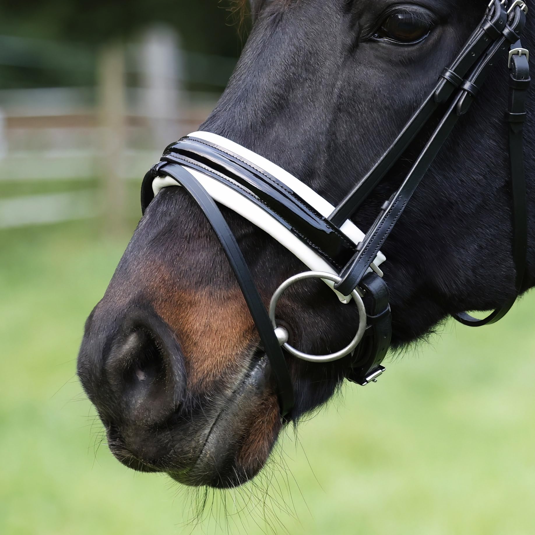 Heinick Trense Motion Lack Zaumhaken Weiss Schnellwechselsystem ~ Warmblut ~