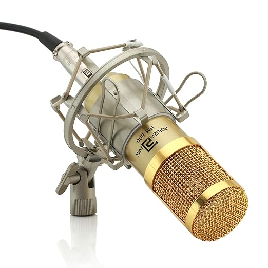 Powerpak Bm800 Gold Professional Condenser Microphone with Metal Shock