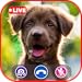 Talking Dog Simulator Call Video Prank Call Apps