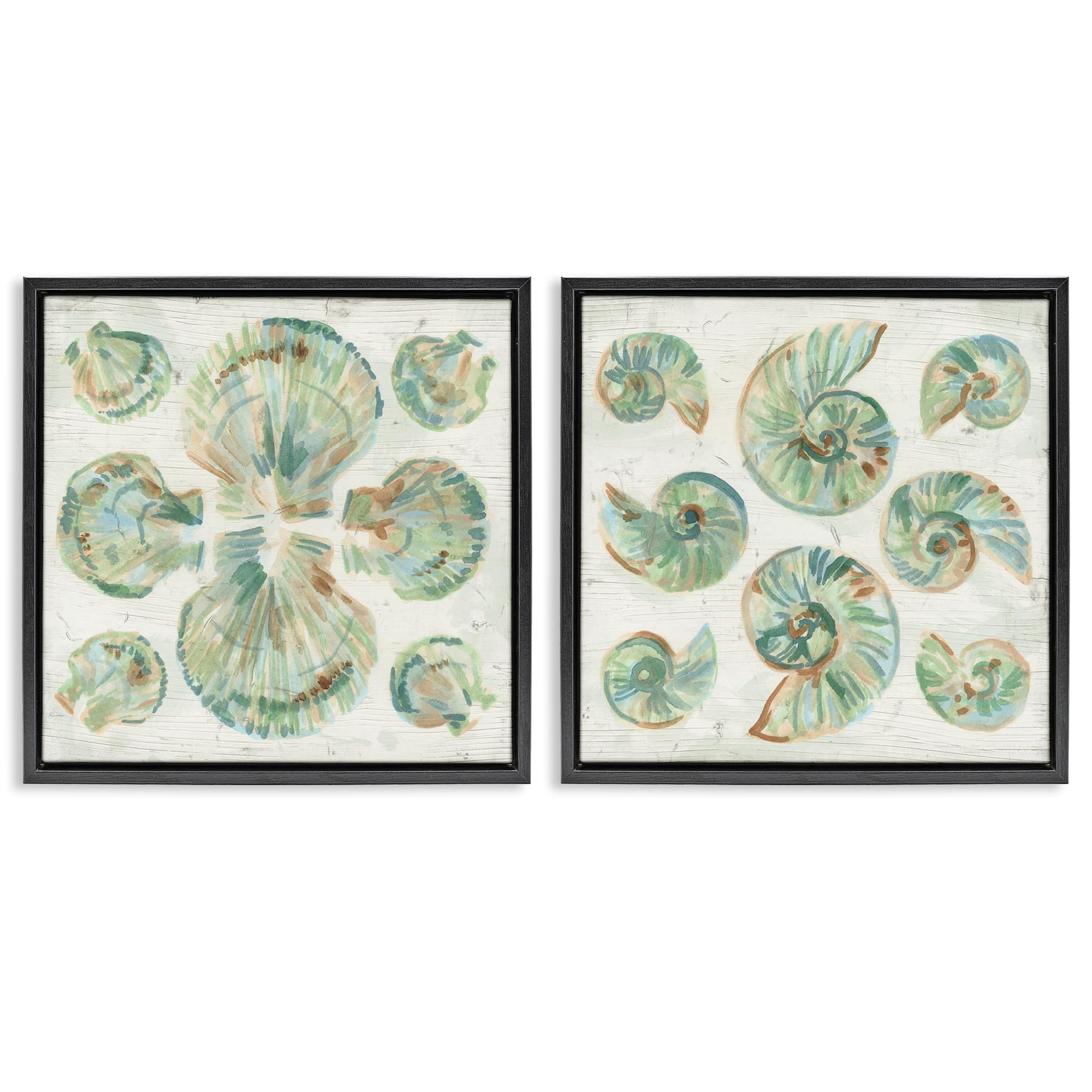 'Saltwashed Seashells Pattern'| 2pc Floating Frame Art Set 2