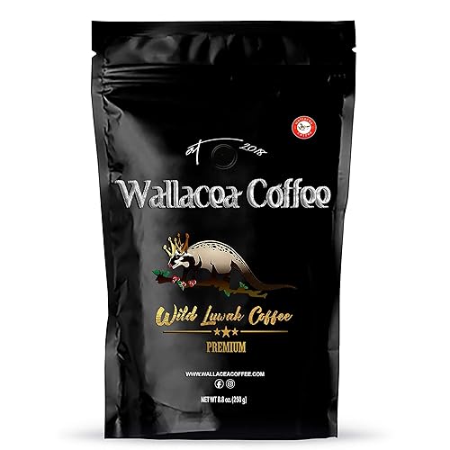 Miniatura 1 de Wallacea Coffee Certified Wild Kopi Luwak Coffee Beans Civet Coffee Kopi Luwak de Gayo Sumatra Indonesia granos de café 88 oz