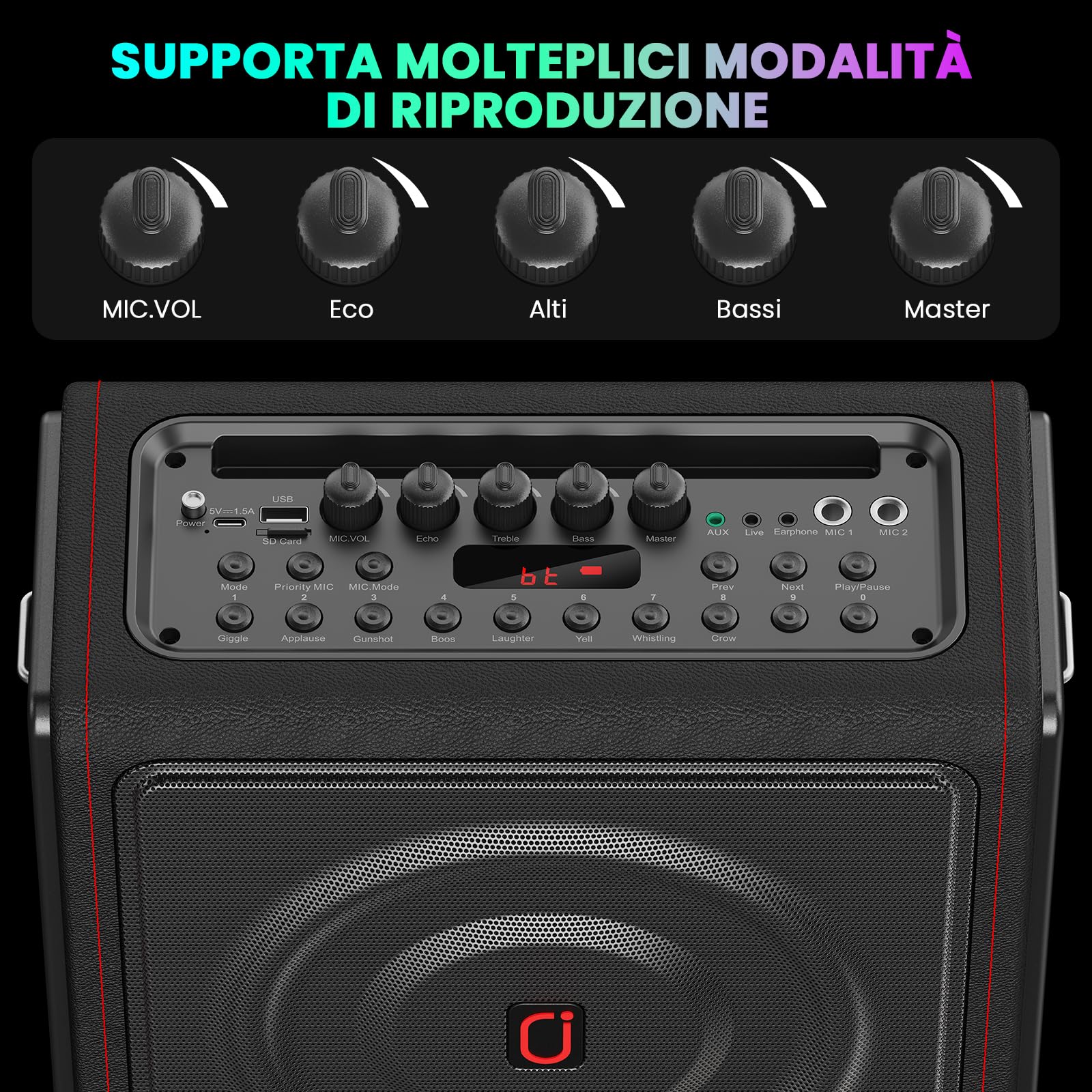 HWWR Karaoke con 2 Microfono Wireless Kit con LED, 300W Cassa Bluetooth 5.3, 36 ore, Sistema PA per Adulti Bambini Supporto TF/USB/FM/Registrazione/AUX/TWS, Canta Tu Karaoke 2026