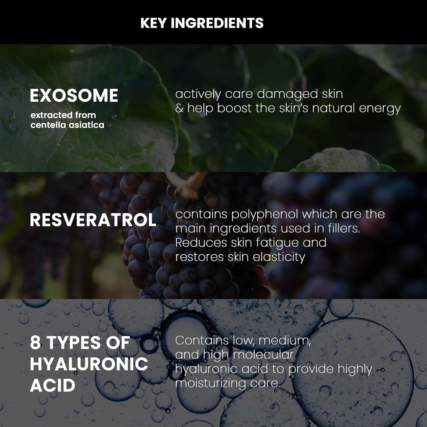 NEOGEN by DERMALOGY High R Exosome Cream, Hydrating Face Moisturizer with Hyaluronic Acid, Peptides & Resveratrol, Korean Skincare for Skin Nourishment & Elasticity, 1.36 fl oz - Image 3