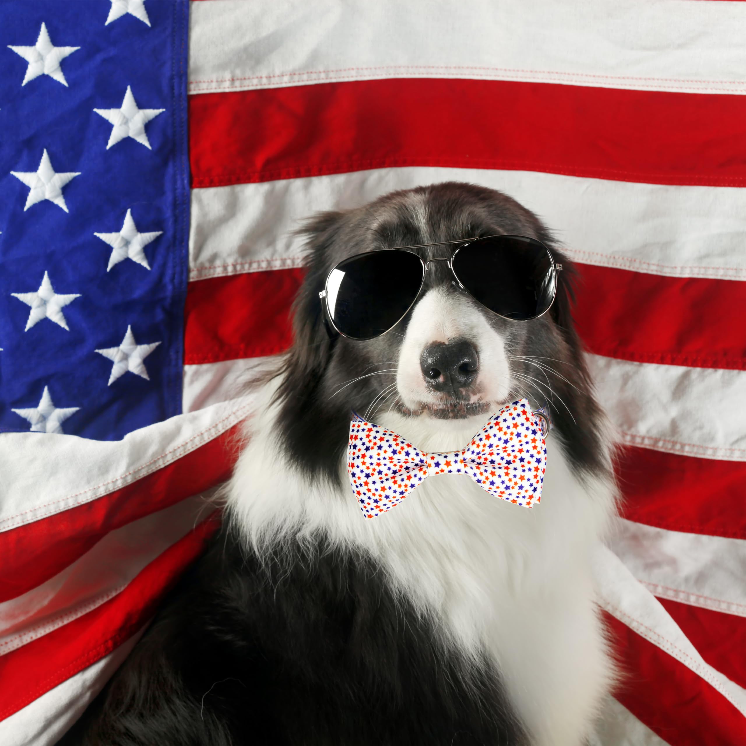 fourth of july dog bow tie