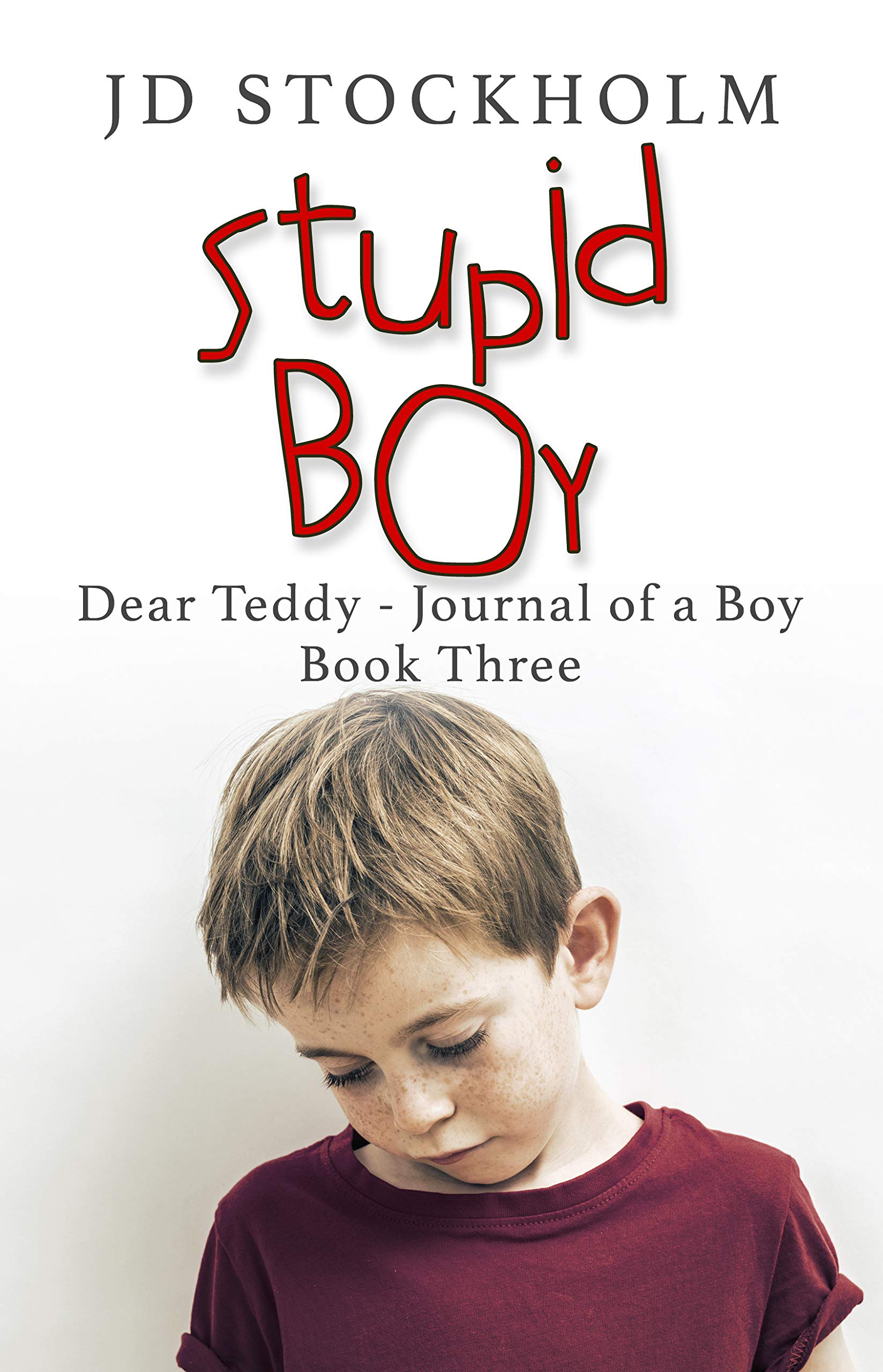 Stupid Boy (Dear Teddy A Journal Of A Boy Book 3)