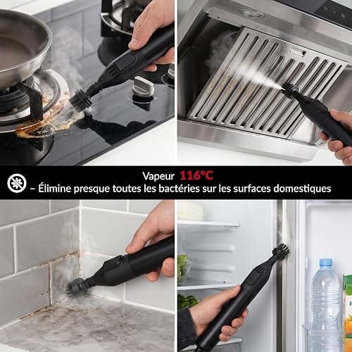 LEHMANN SteamWash 1800 - Nettoyeur Vapeur 4 en 1 & Aspirateur Injecteur Extracteur, Nettoyeur à Main Portable Canapé, Tapis, Voiture, Eau Chaude 60°C, Vapeur 116°C, 16 kPa - 2