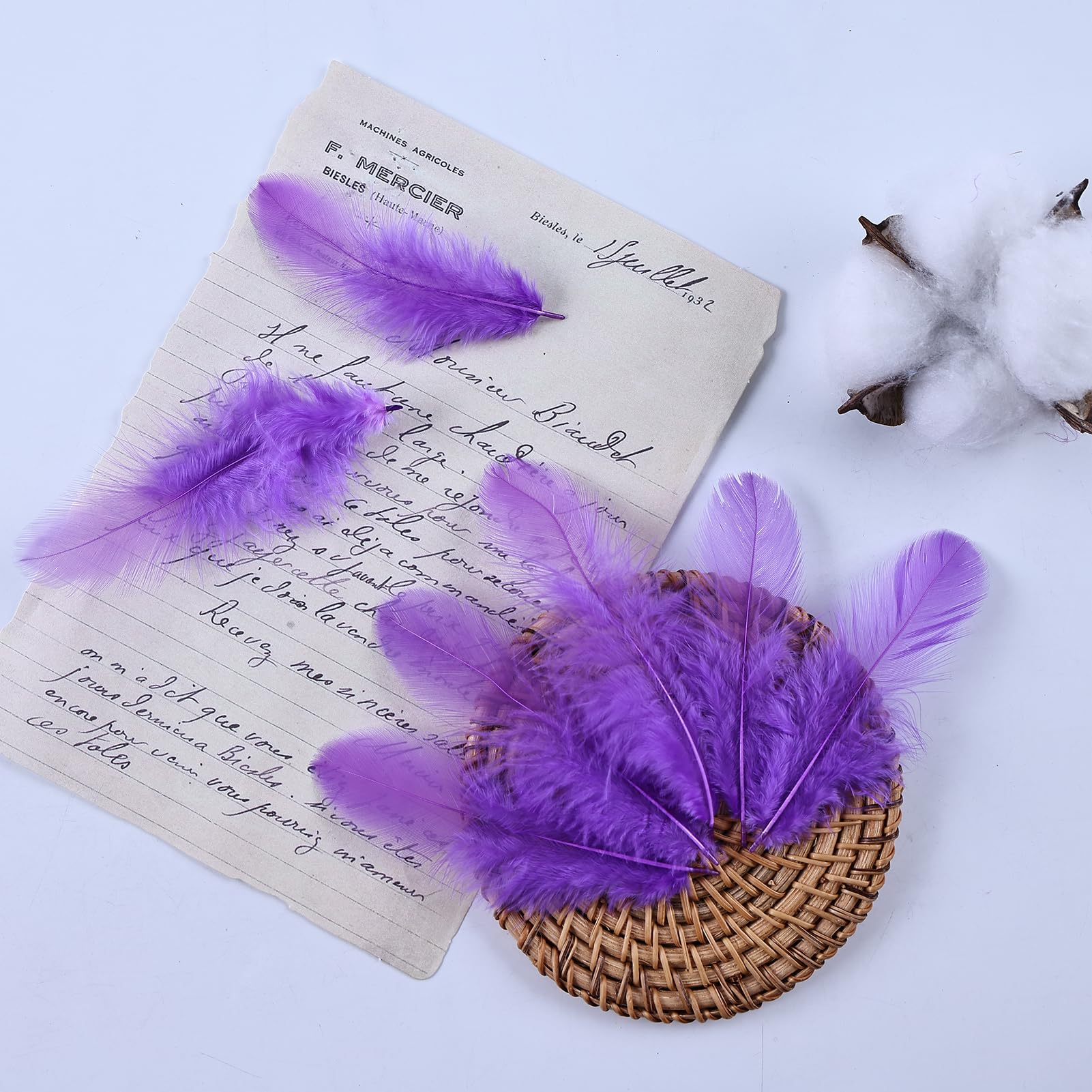 Bunte Hahn Federn, 900 Stück, 7,6–12,7 cm, farbige Großfedern, natürliche Federn zum Basteln, für Kindergarten, Basteln, Zuhause, Hochzeit, Party, Dekoration, Traumfänger-Zubehör (lila)