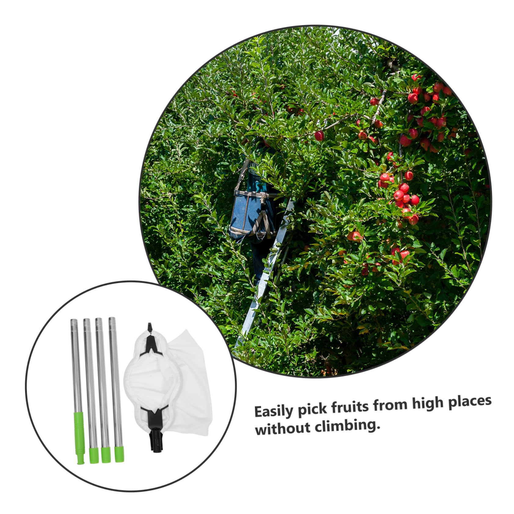 Recolector de Naranjas Ajustable de Acero Inoxidable Cabezal de Garra | Herramienta para Frutas Palo Extensible, Decoracion Otono, Uso Versátil en Huerto