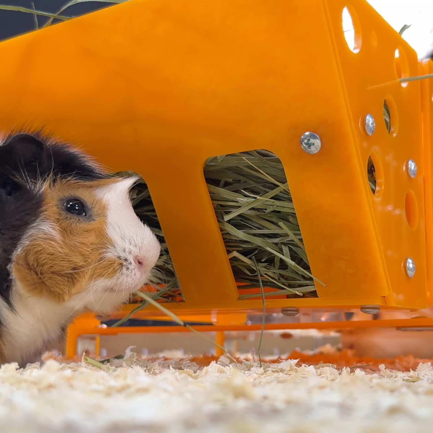 Bundle-3 Items: Cheese House, Food Feeder Yellow, Hay Feeder Yellow
