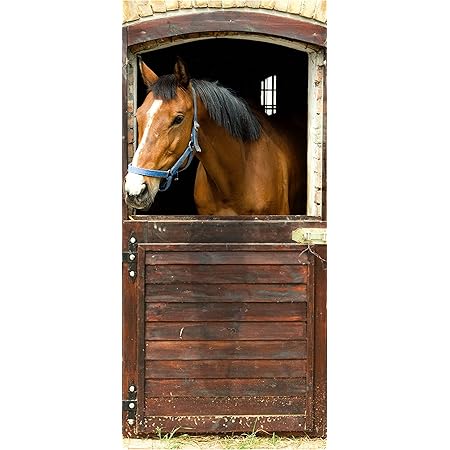 Posterdepot Türtapete Türposter Pferd M Stall - Größe 93 X 205 Cm, 1