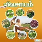 Agriculture Vivasayam