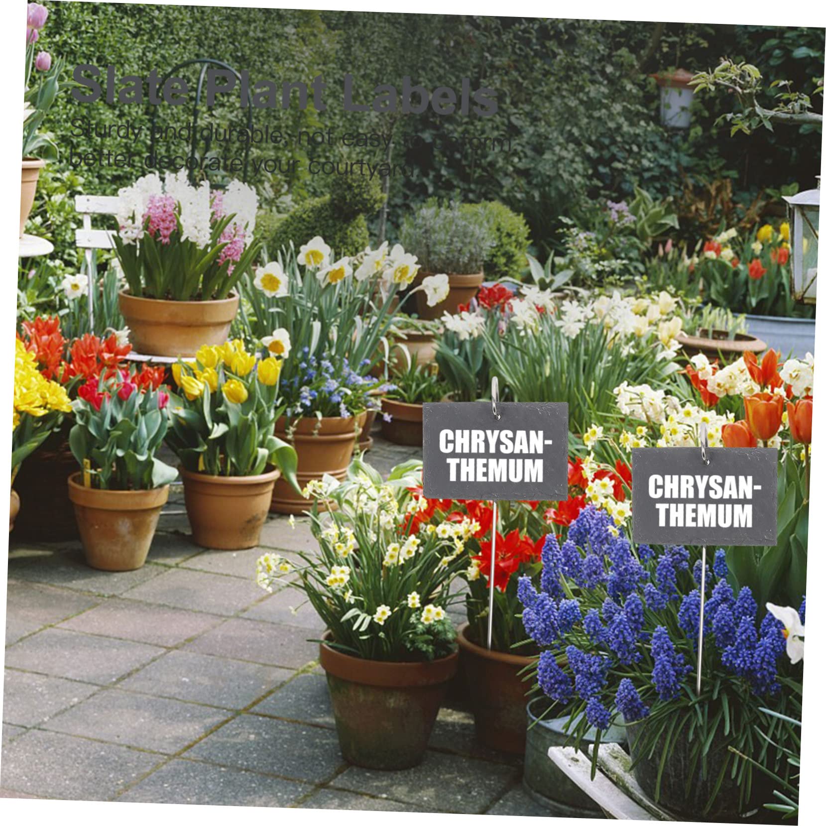INOOMP Étiquettes Plantes Ardoise Naturelle avec Tiges Fer Lot Étanches pour Jardin Pots et Massifs Marqueurs Durables pour Classification et Décoration des Plantes