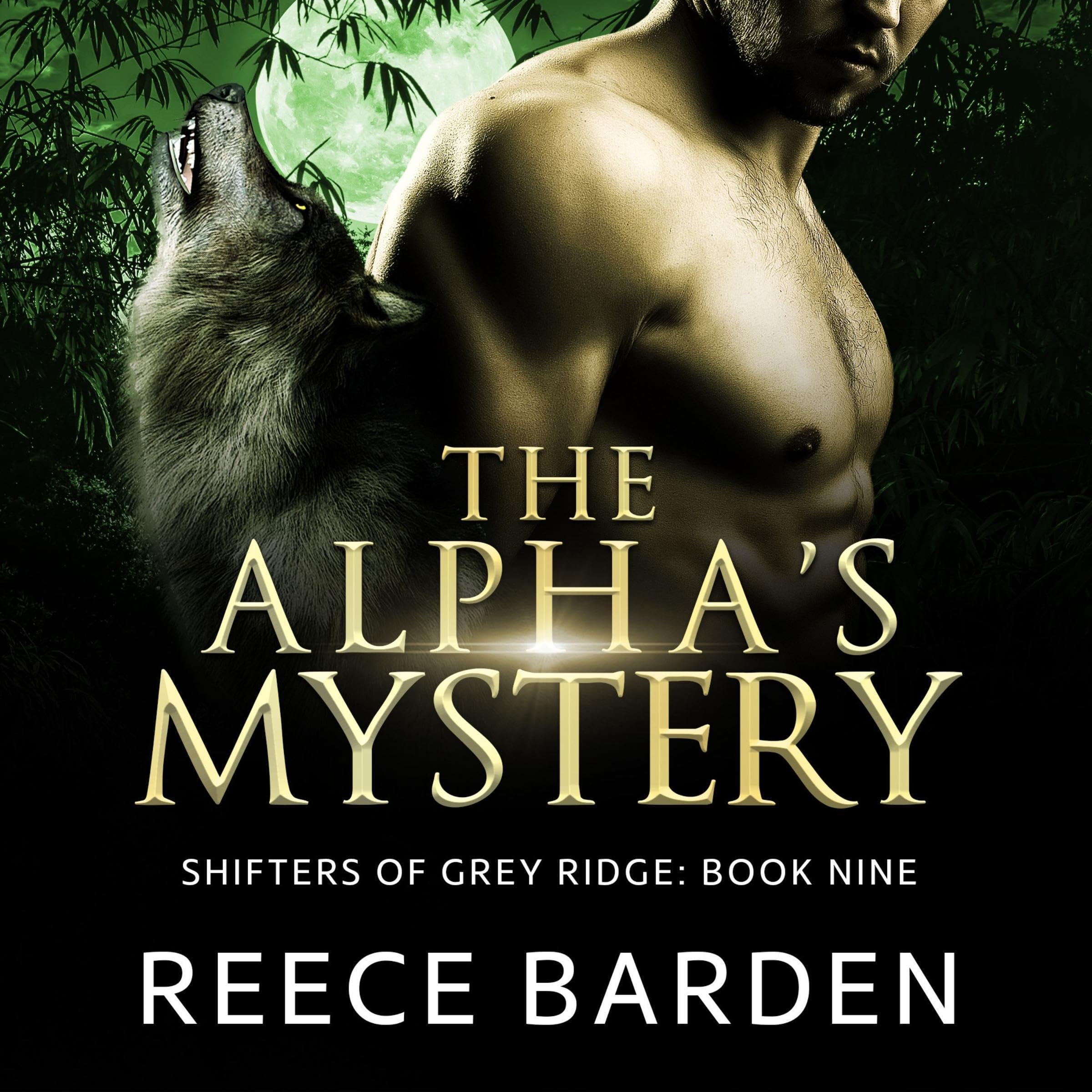 Cover art for The Alpha's Mystery