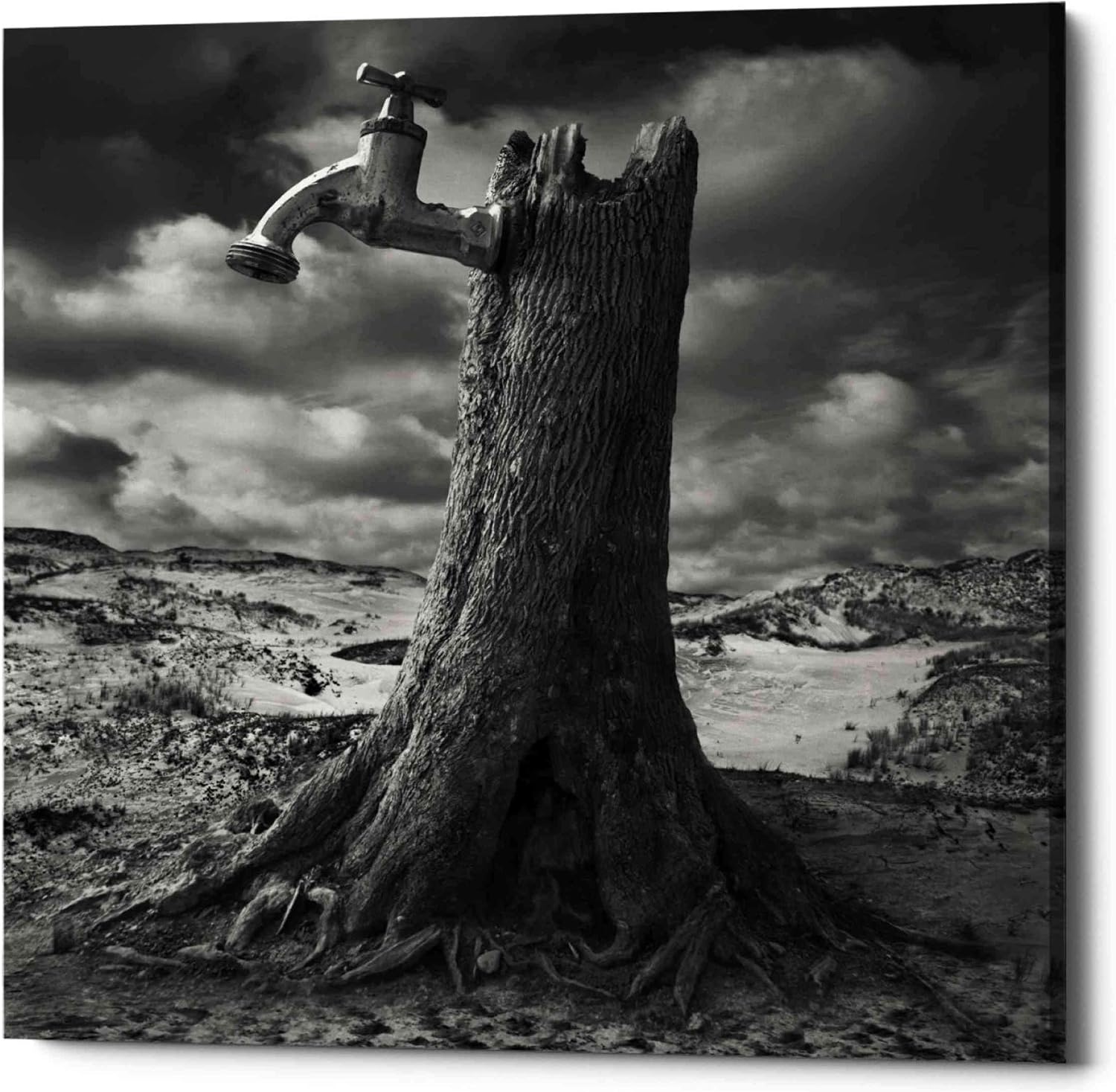 Epic Graffiti 'Dry' by Dariusz Klimczak, Canvas Wall Art, 12"x12"