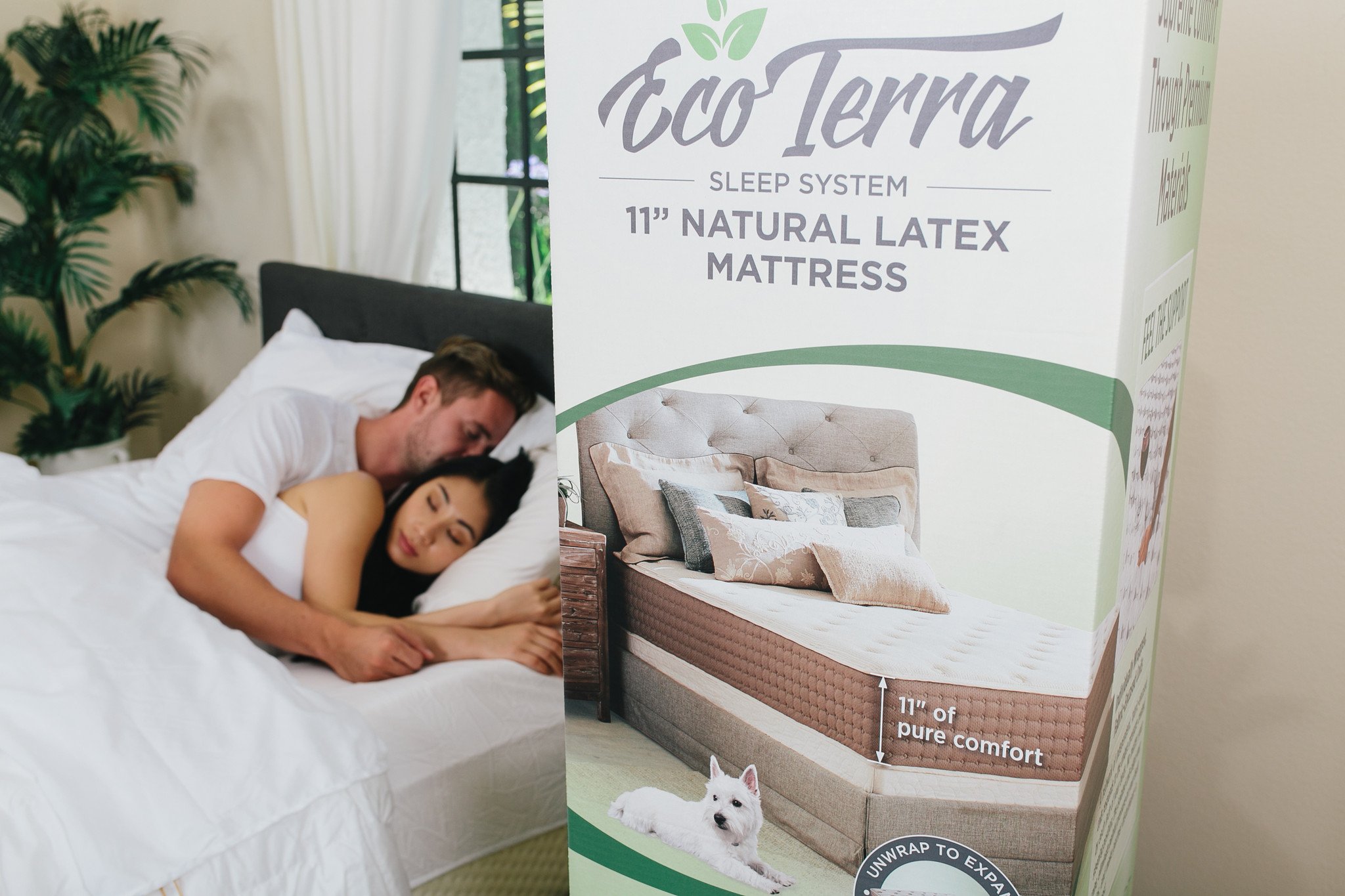 Eco Terra 11 Inch King Natural Latex Hybrid Mattress Medium Mattress