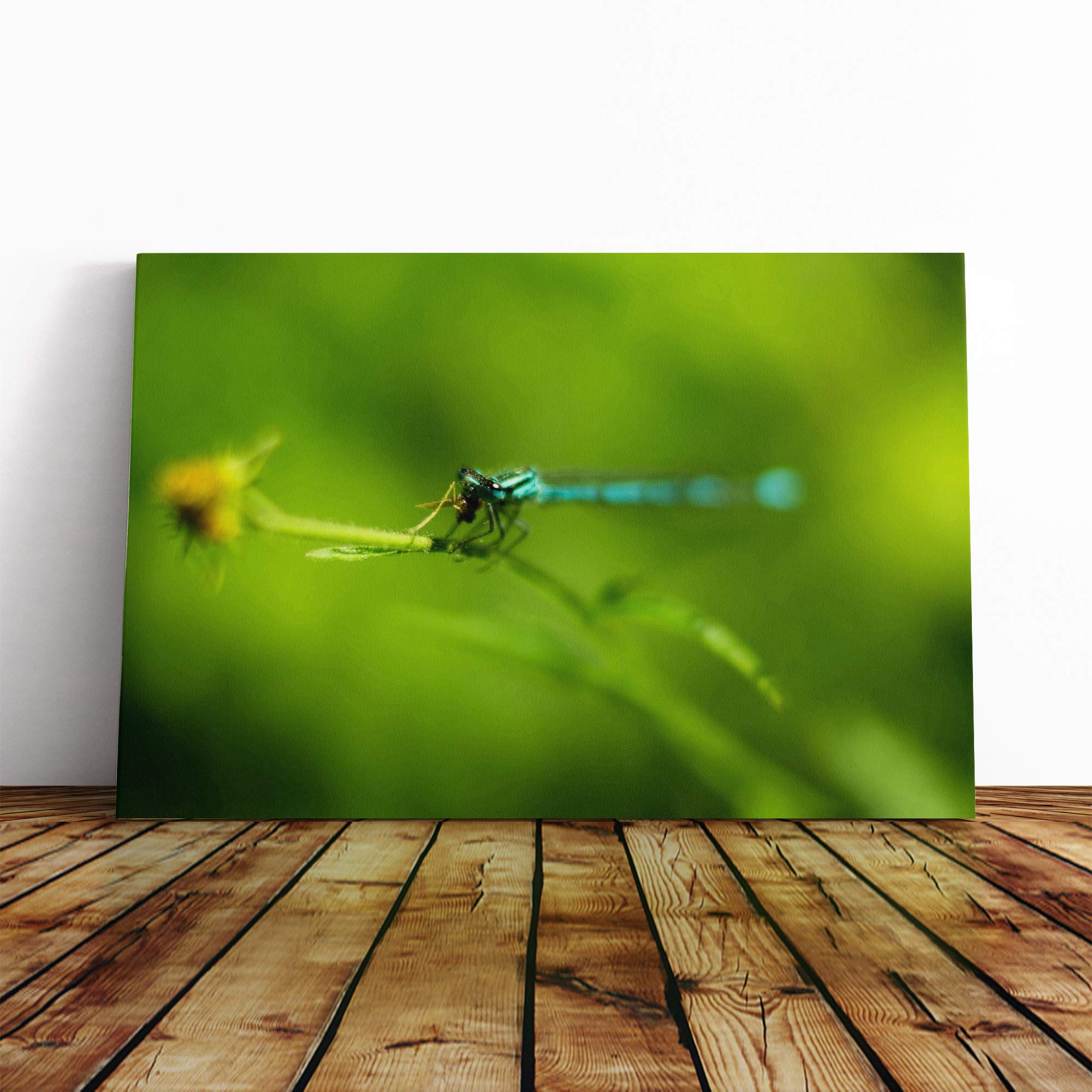 Green Dragonfly Canvas Print | Gallery Wrapped 30mm Frame Wall Art | 30x20 inches | Ready to Hang | Modern Animals Picture | Living Room Bedroom Lounge Office
