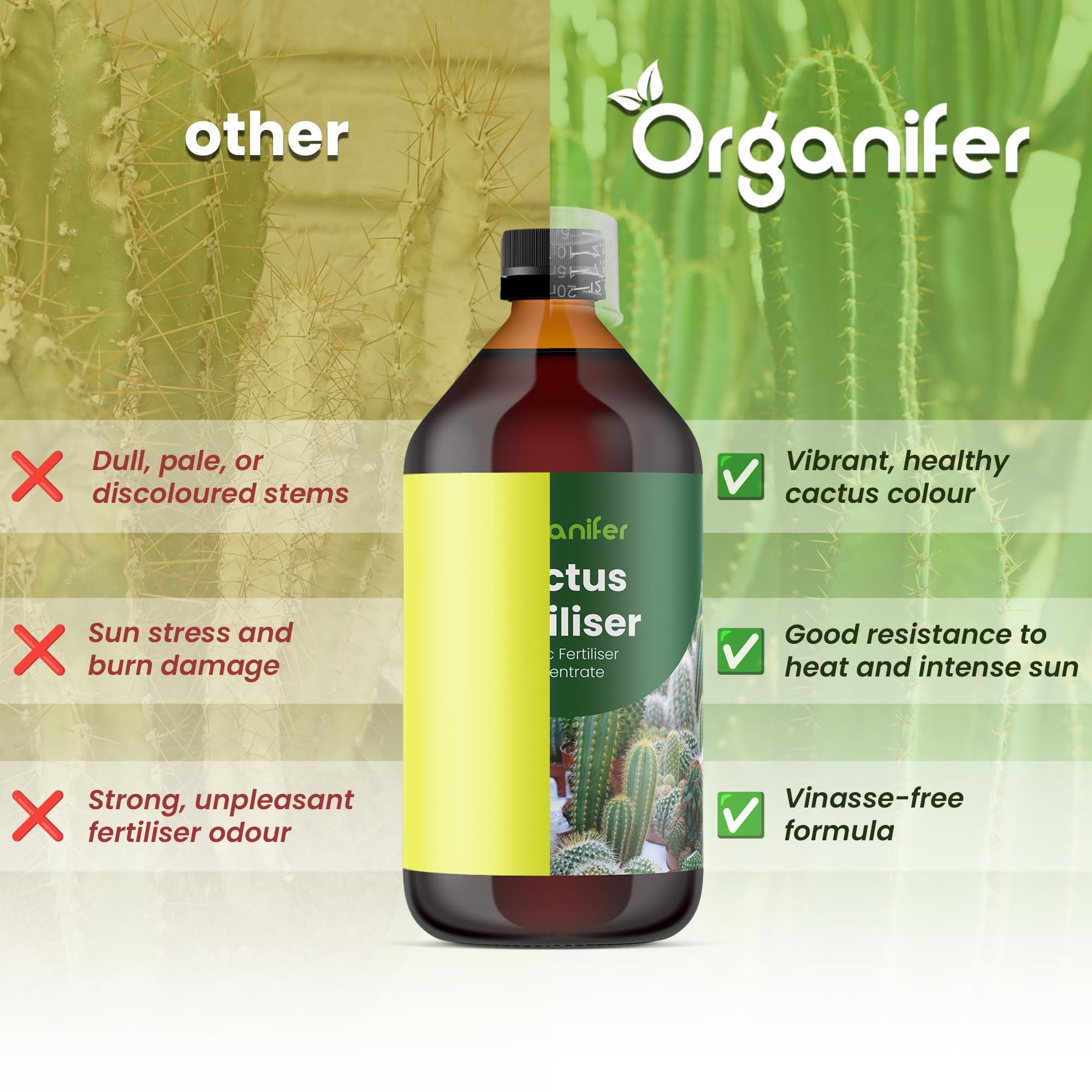 Engrais Liquide pour Cactus, 1L, Organique, Favorise Croissance et Résistance à la Sécheresse