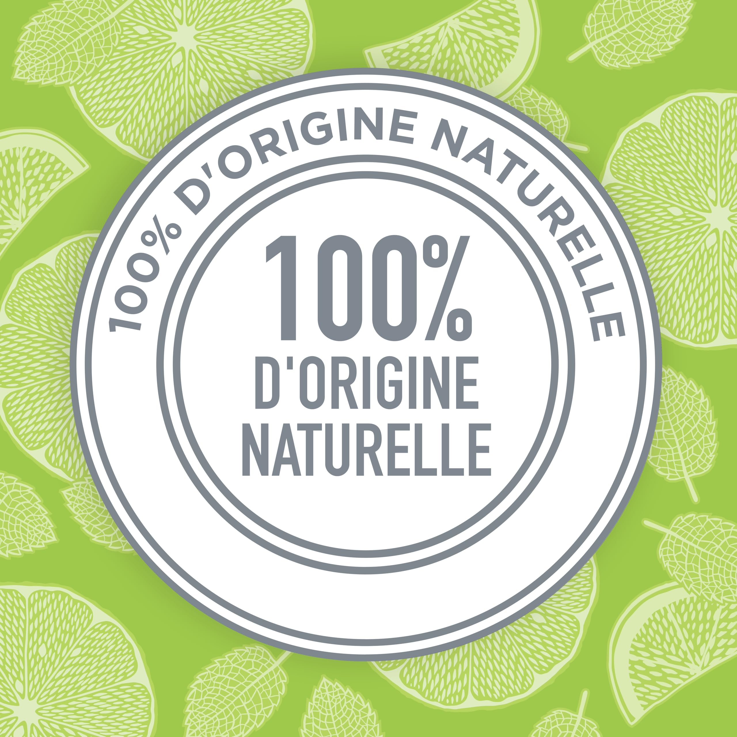 Schmidt's Déodorant Stick Signature Bergamote et Citron Vert, Efficace 24h, 100% Origine Naturelle, Certifié naturel et Vegan, Testé Dermatologiquement, 75g