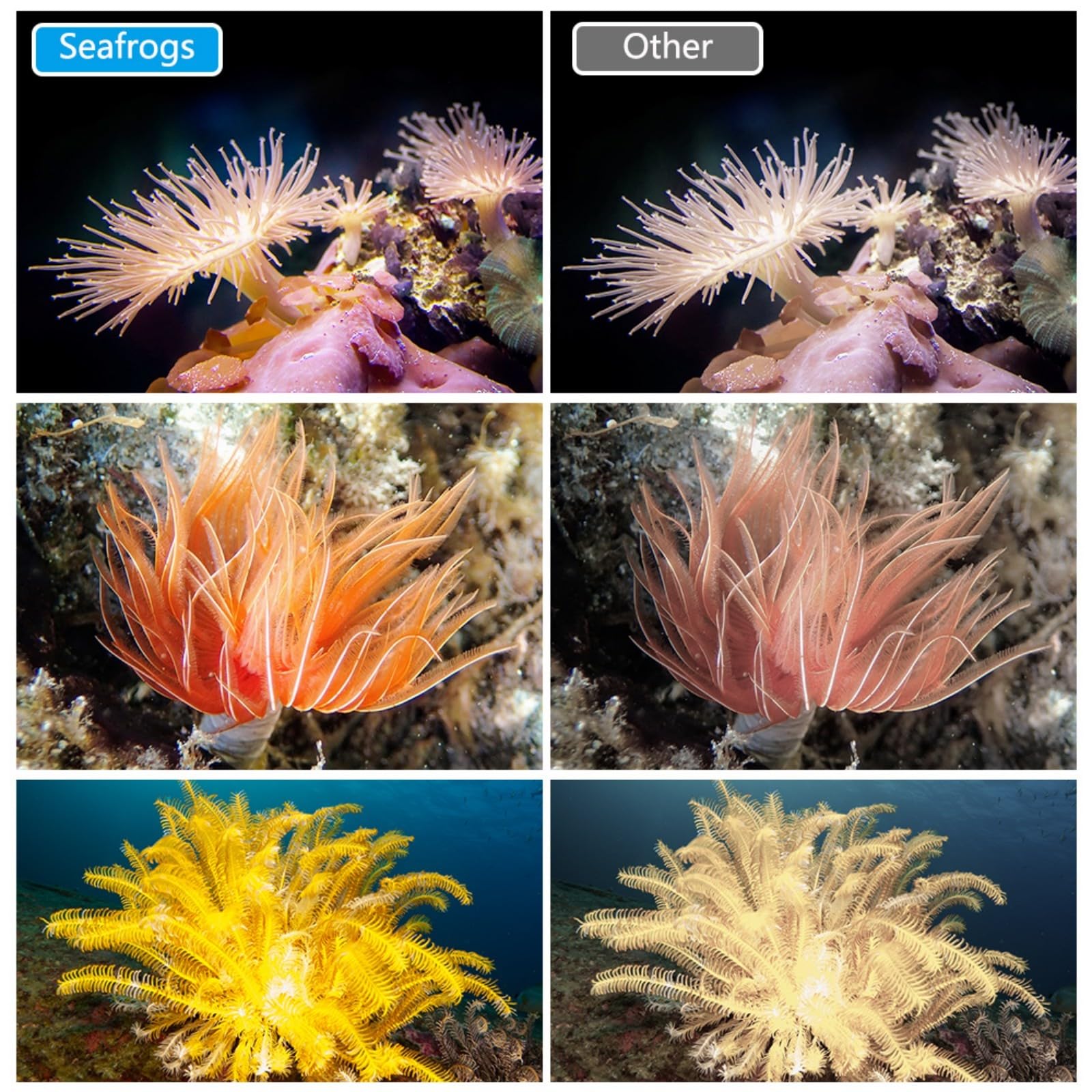 Compatto Ricaricabile Subaquatic LED Luce Con 3 Colori Setacci IPX8 Impermeabile Per Fotocamere Azione Fotografia Subacquea Luce LED
