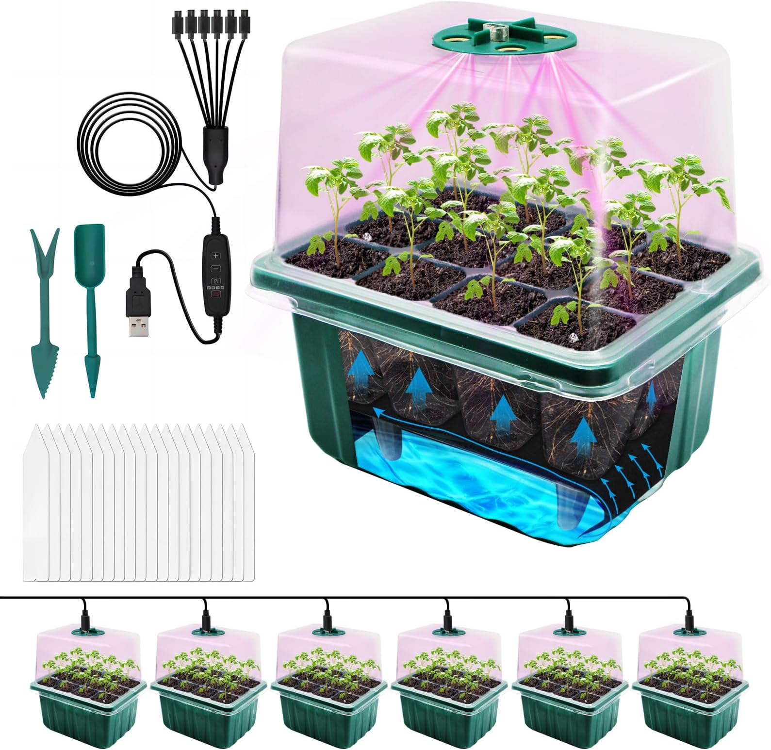 MQFORU Self Watering Seed Tray with Grow Light, 6 Pack 72 Cell Mini Greenhouse Adjustable Humidity,3 Light Settings Reusable Germination Trays Kits for Indoor Gardening Seeds Growing Starting
