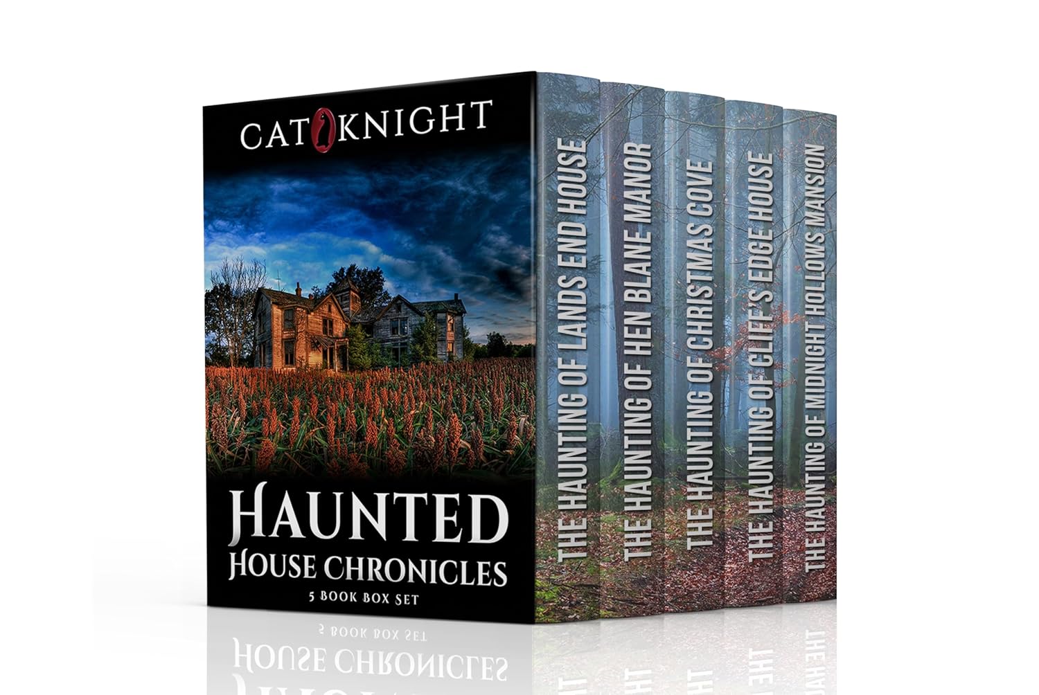 Amazon.com: Haunted House Chronicles: 5 Box Book Set eBook : Knight ...
