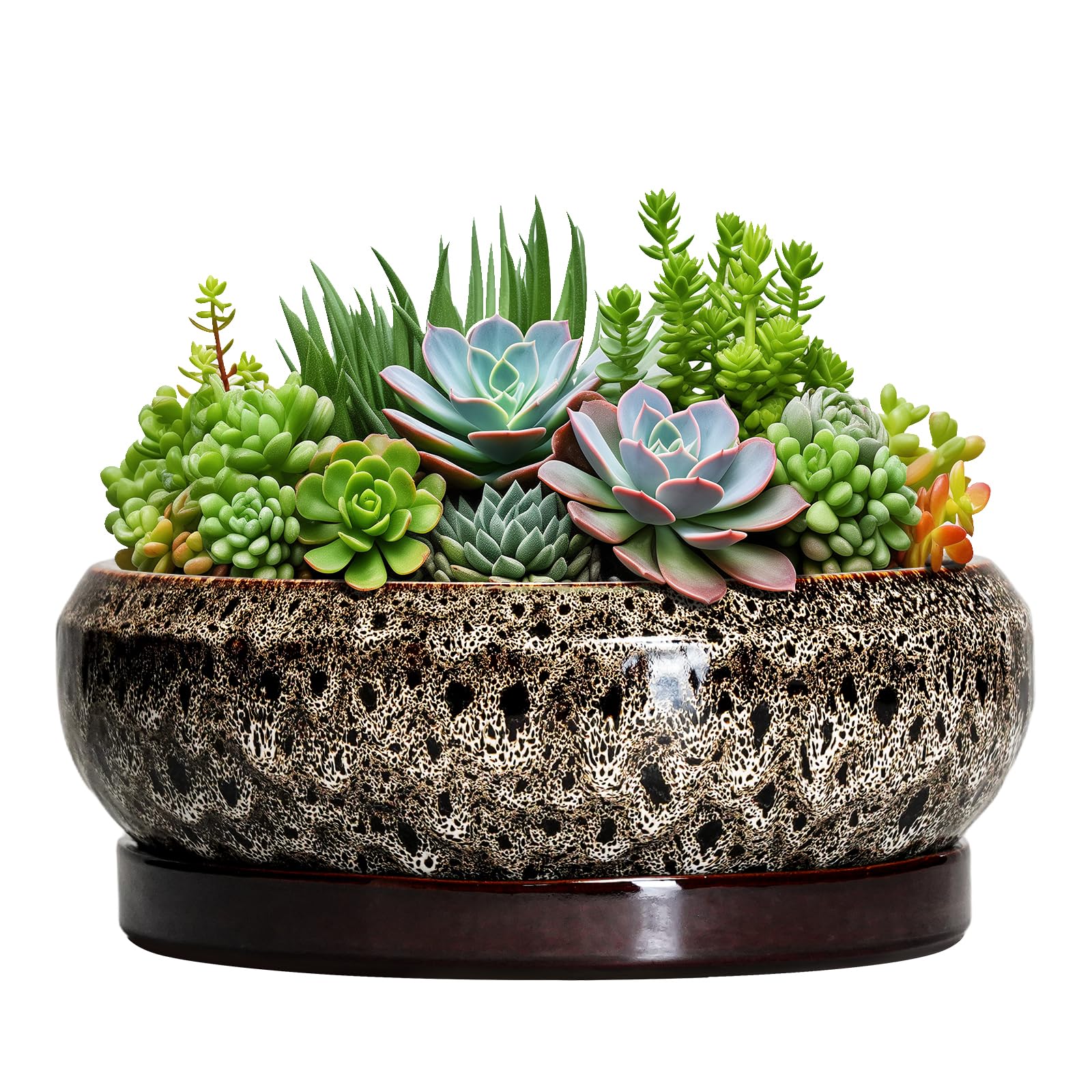EPFamily 10 Inch Shallow Ceramic Bonsai Pot