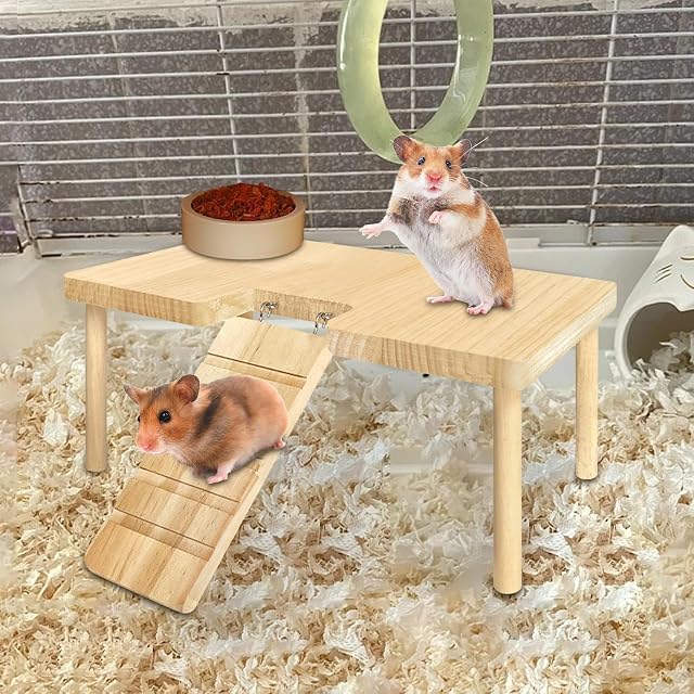 Foto 2 de 5 de Plataforma para Hámster Escalera para Hámster