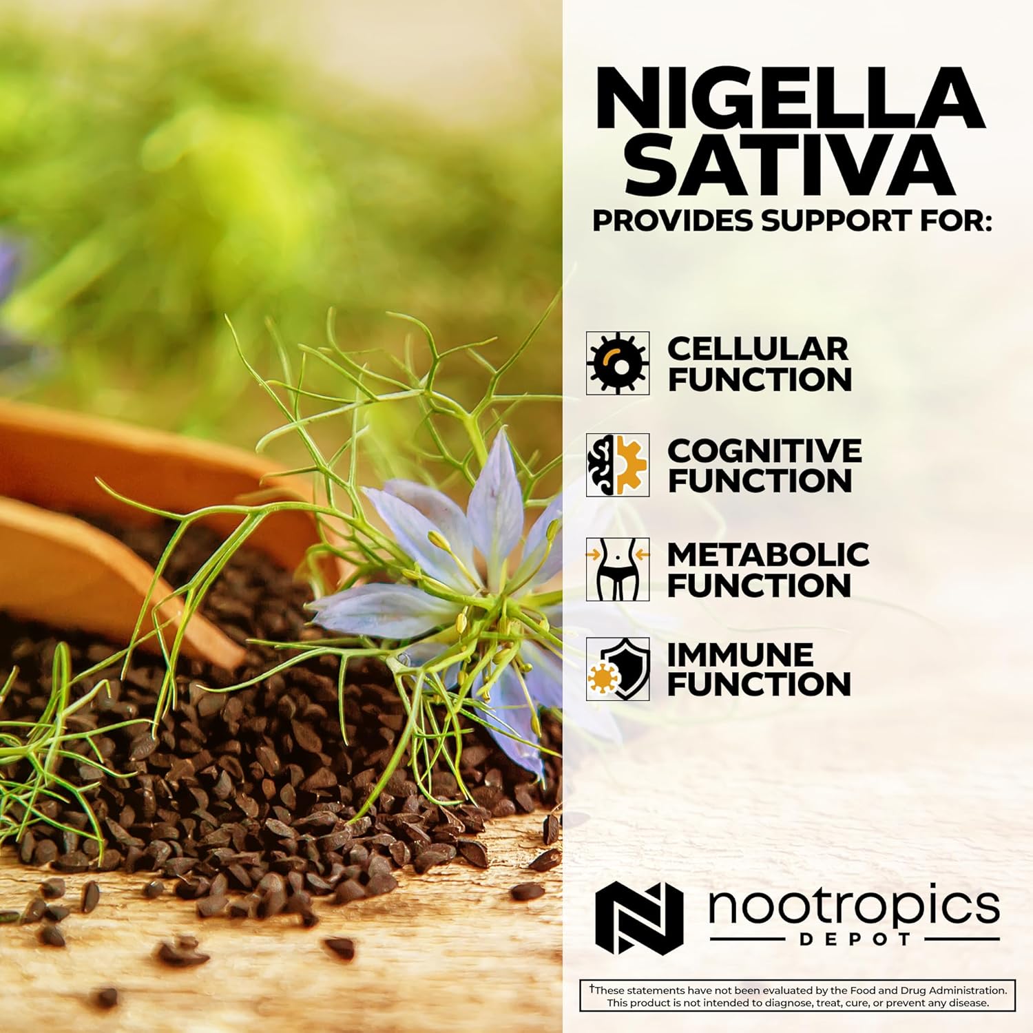 Nootropics Depot Nigella Sativa Extract Capsules | 200mg | 60 Count | Minimum 10% Thymoquinone Content | Black Seed Oil Extract | Supports Brain Health, Memory, Liver Health, and Immune Function - Image 4
