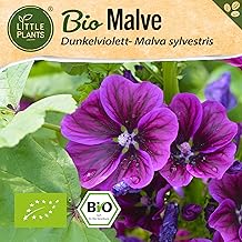 Organic Mallow Seeds, 100 Mallow Seeds, Purple Flower Seeds for Flower Tubs, Seeds, Flower Seeds for Balcony and Garden