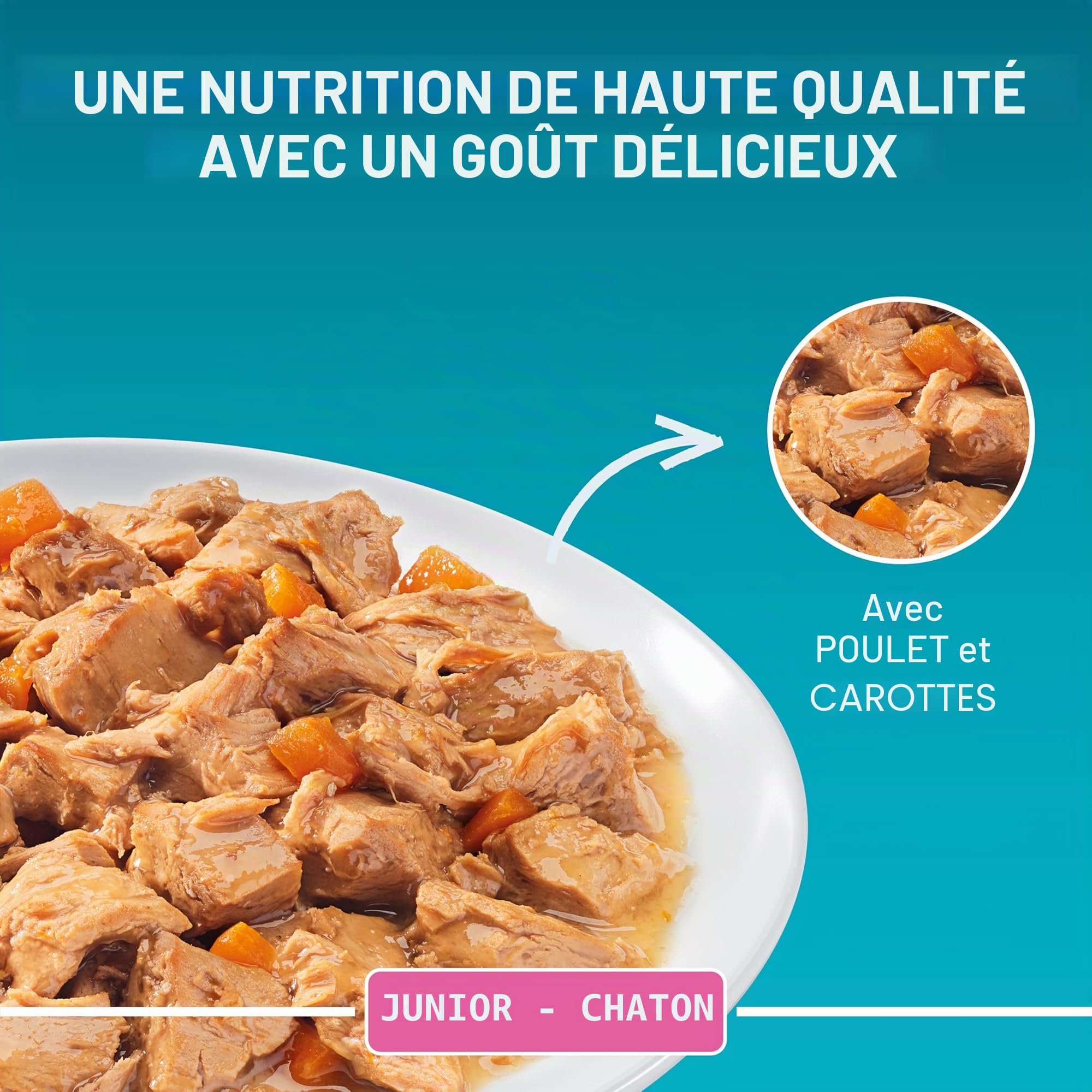 PURINA One Single Serve - Junior - Poulet - 4x85g