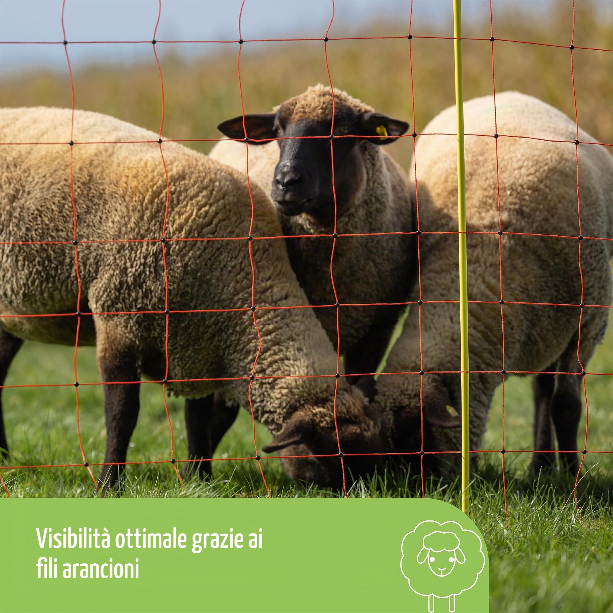 Kerbl Hobbyfarming Rete per Ovini ClassicNet, Recinzione Mobile per pascolo, Rete da pascolo, Doppia Punta, Arancione, 50m x 90cm, 13 Pali, 3 Anni di Garanzia sulla stabilità ai Raggi UV