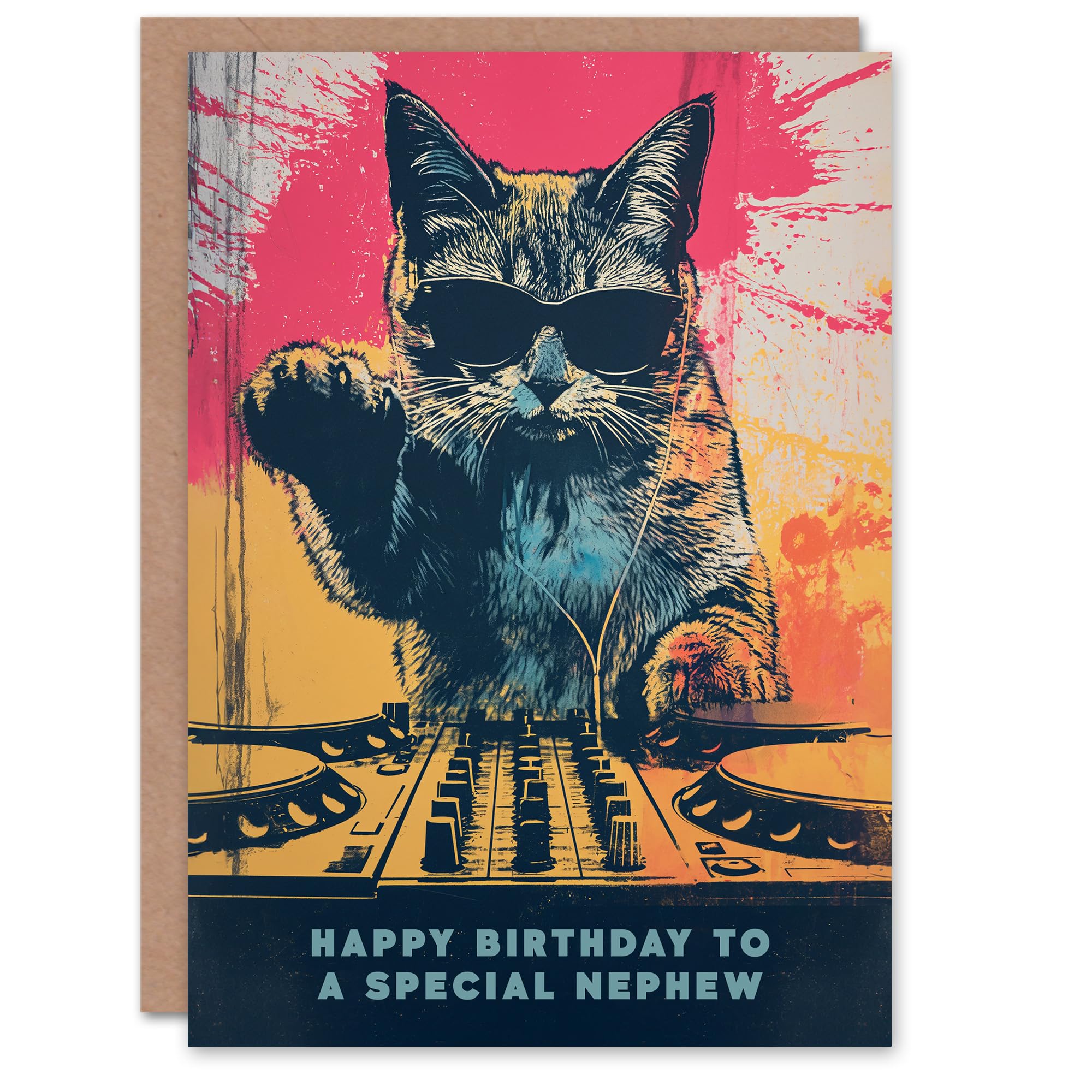 Artery8 Happy Birthday Card to a Special Nephew Grunge DJ Cat Lover Vinyl Decks Records Music