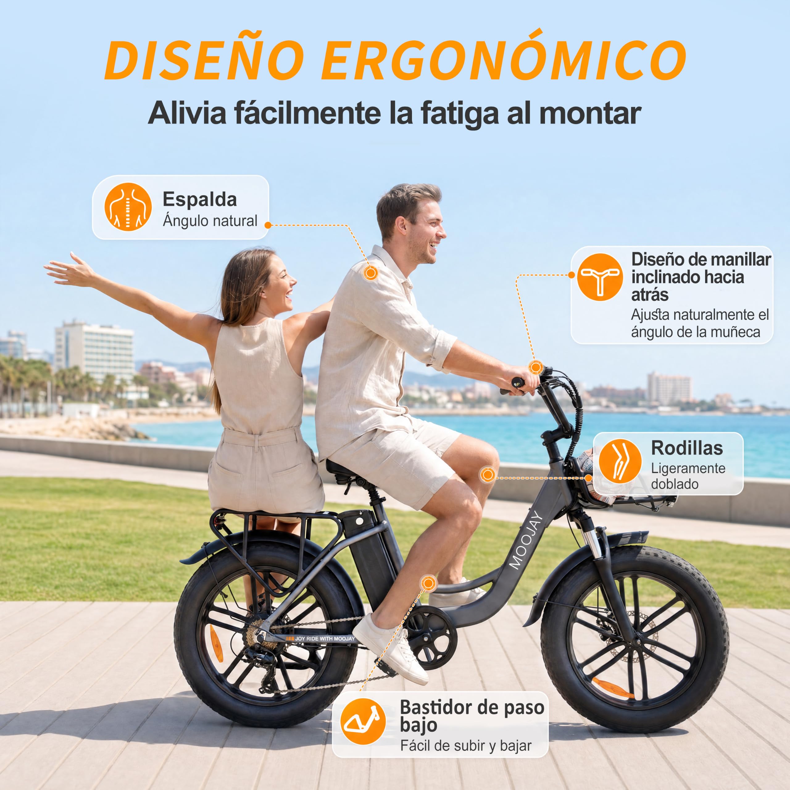 Bicicleta Eléctrica Adulto 20" Neumáticos Todo Terreno 250W Urbana