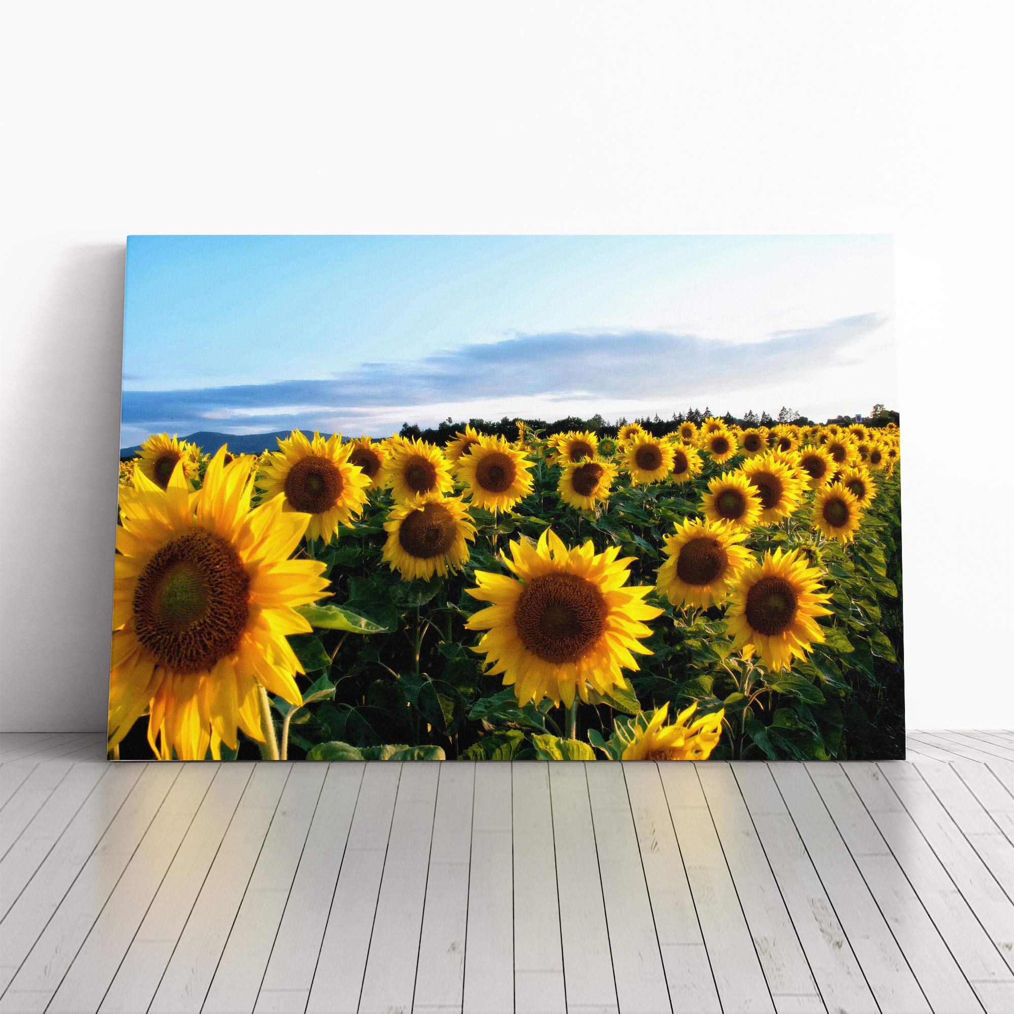 Yellow Sunflowers Flower (4) Canvas Print | Gallery Wrapped 30mm Frame Wall Art | 20x14 inches | Ready to Hang | Modern Floral Picture | Living Room Bedroom Lounge Office